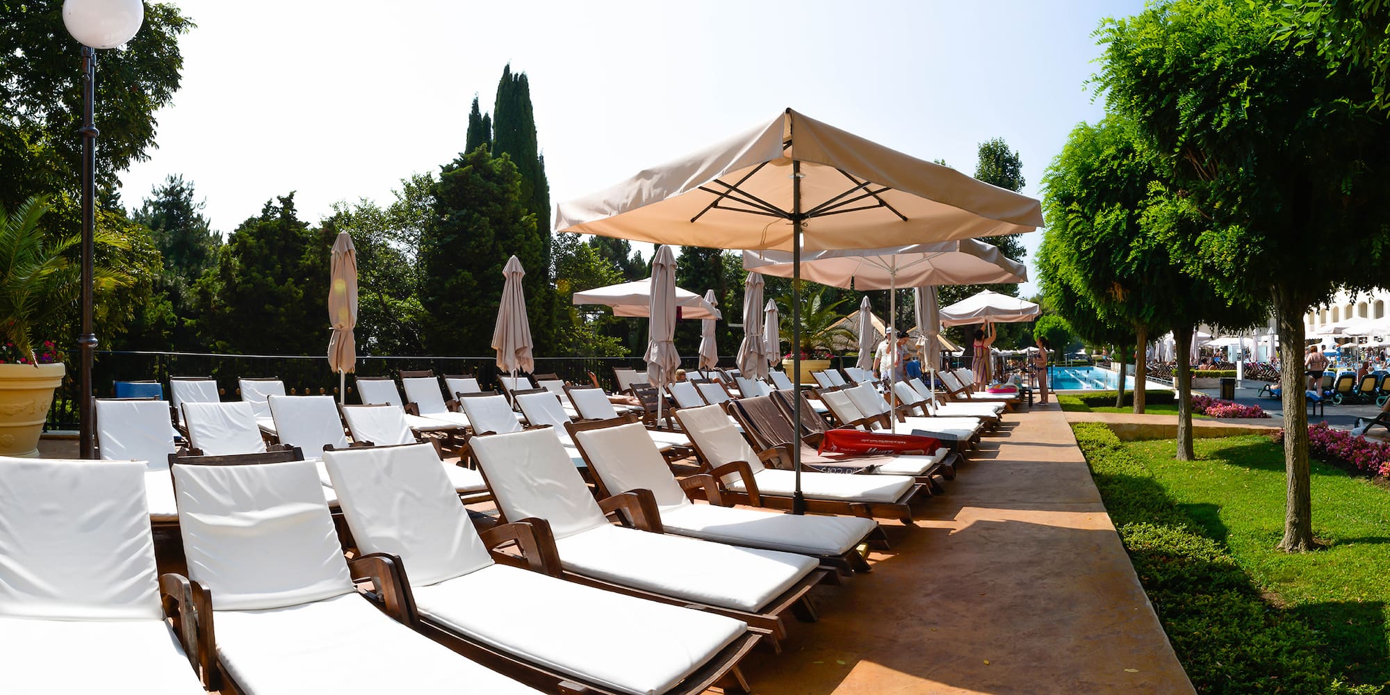 a group of chairs and umbrellas
