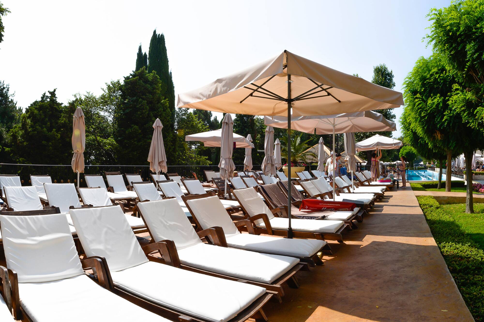 a group of chairs and umbrellas