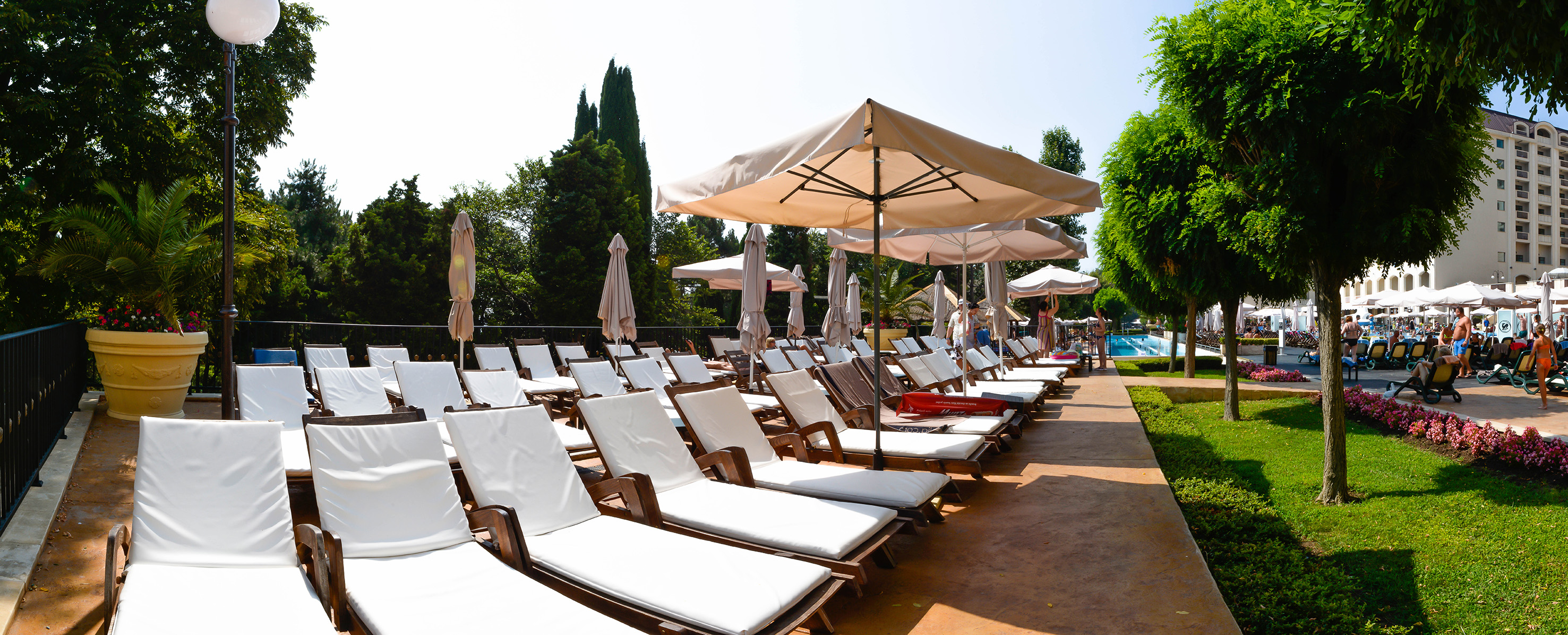 a group of chairs and umbrellas