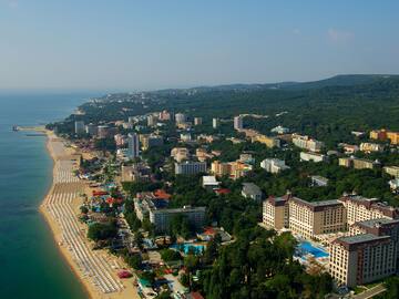 a aerial view of a beach with buildings and trees