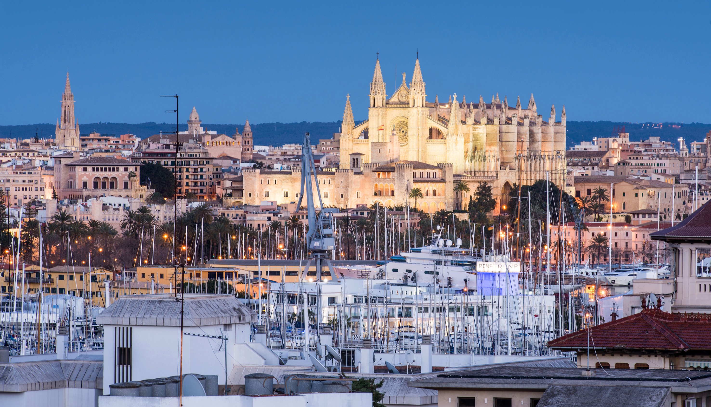 Illuminated Palma Cathedral, marina with sailboats at dusk, Palma de Mallorca.