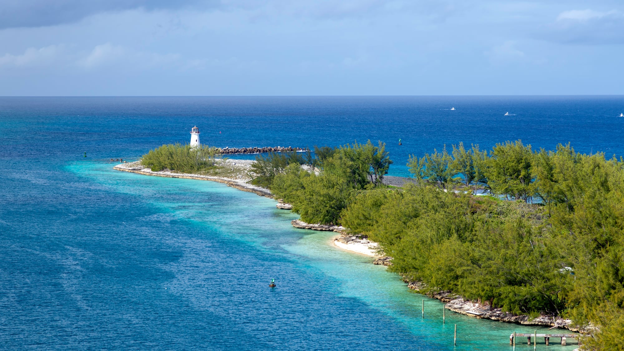 a small island with trees and a lighthouse