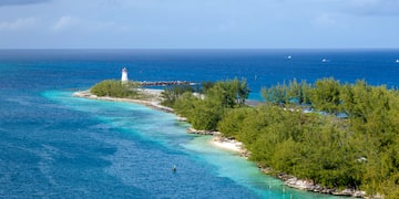 a small island with trees and a lighthouse