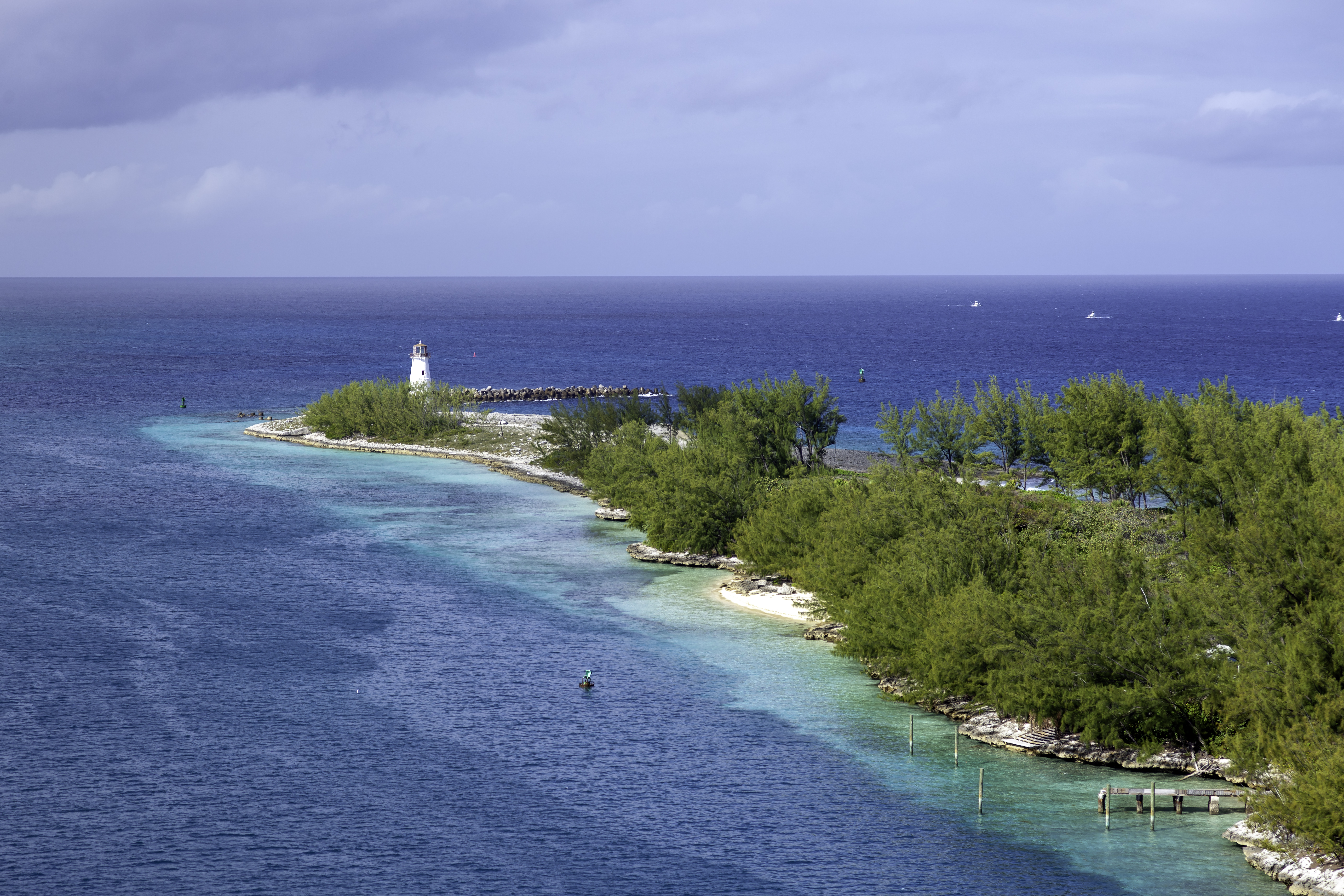 a small island with trees and a lighthouse