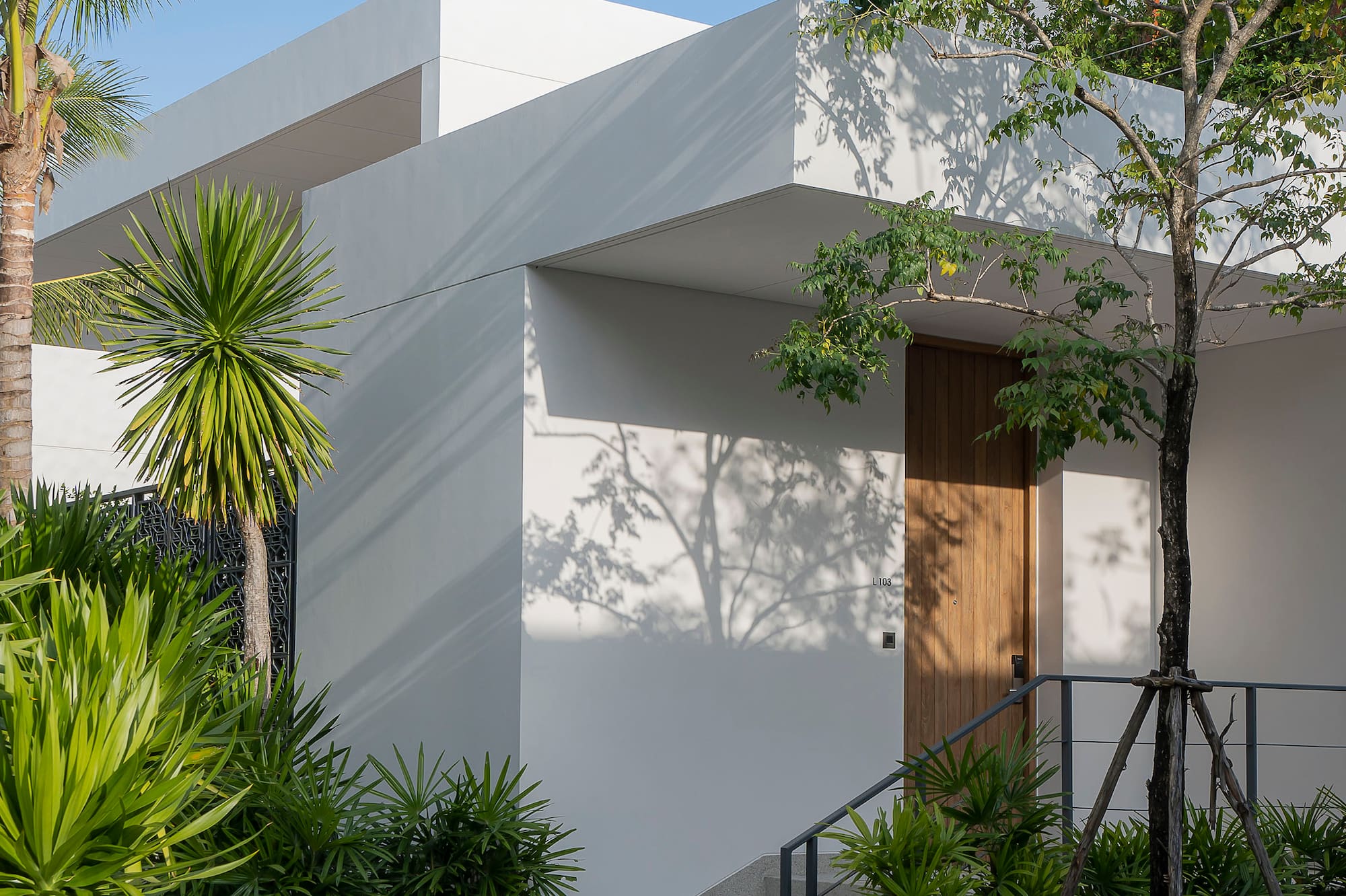 Sleek white modern villa entrance with lush tropical landscaping and wooden door.
