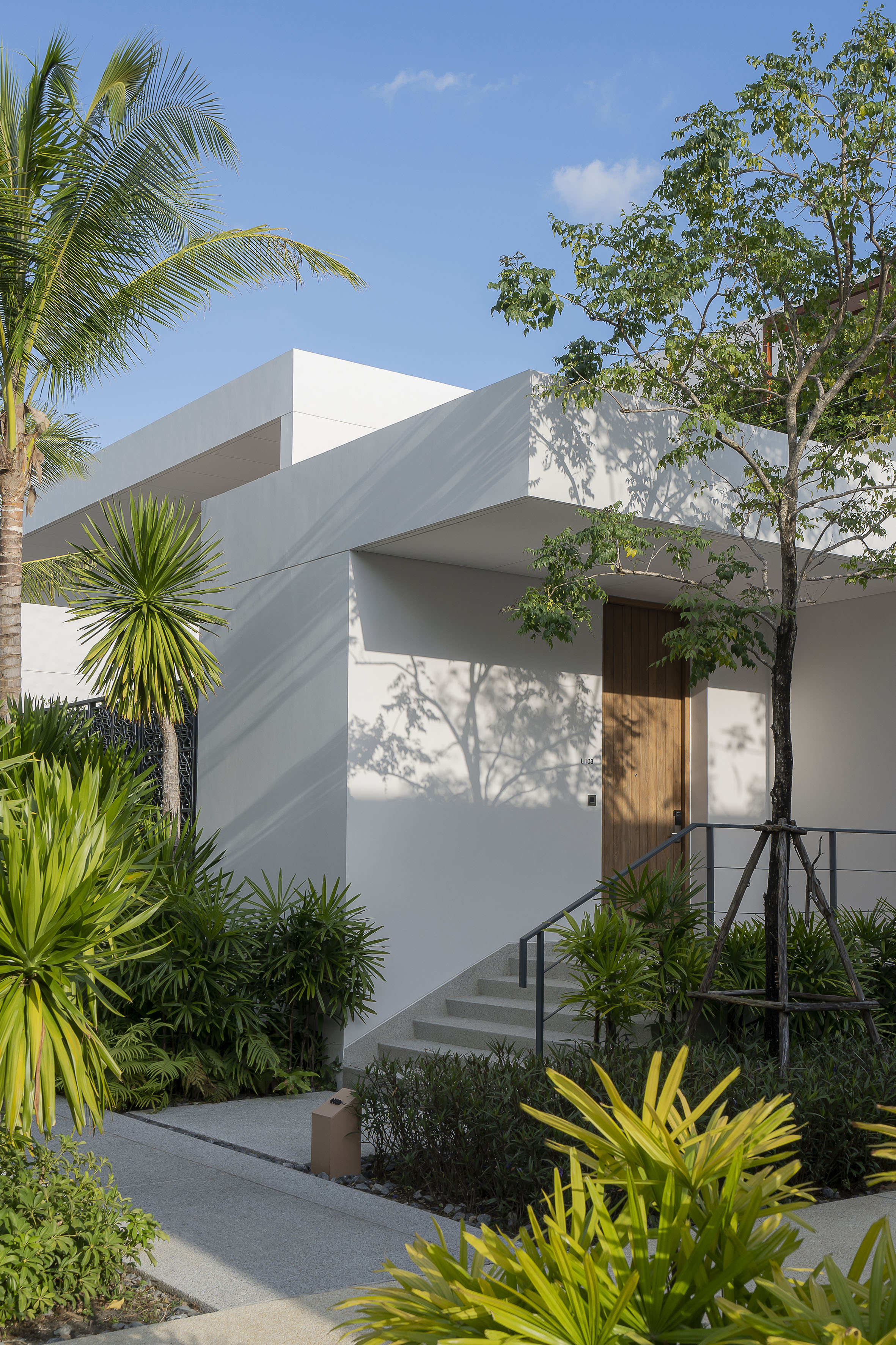 Sleek white modern villa entrance with lush tropical landscaping and wooden door.