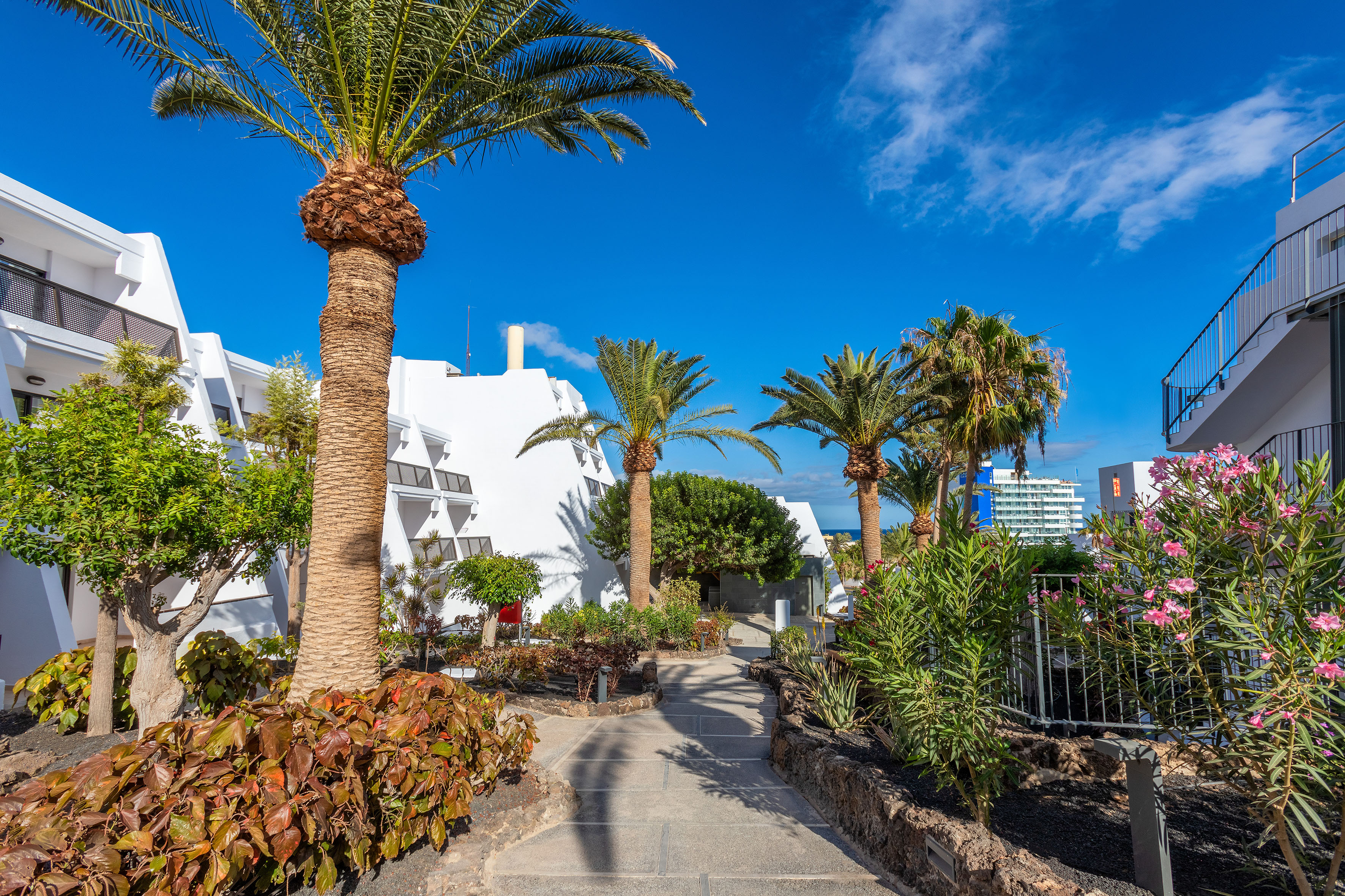 Sunny pathway amidst white resort buildings and tropical palm trees.
