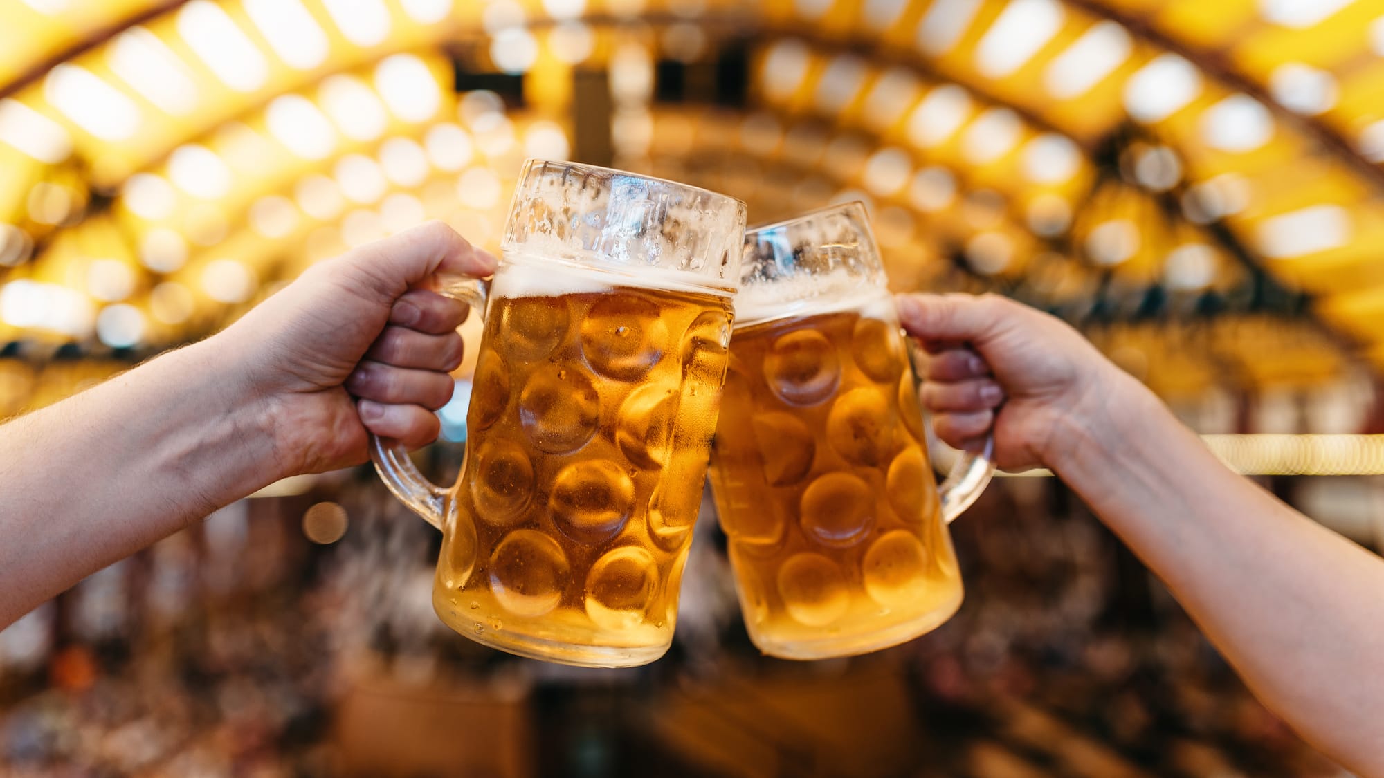 Brindis con dos jarras de cerveza, festival de la cerveza.