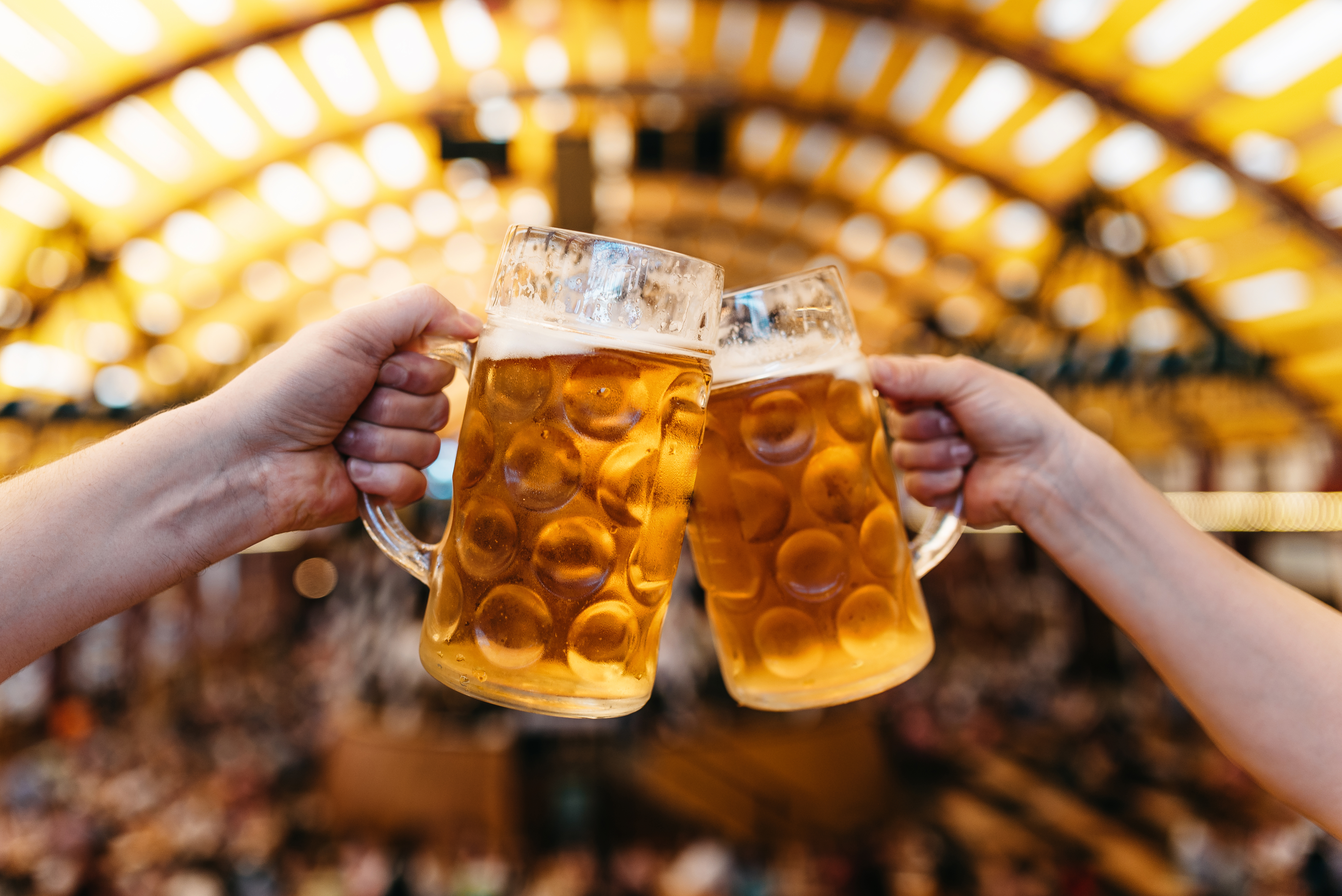 Brindis con dos jarras de cerveza, festival de la cerveza.