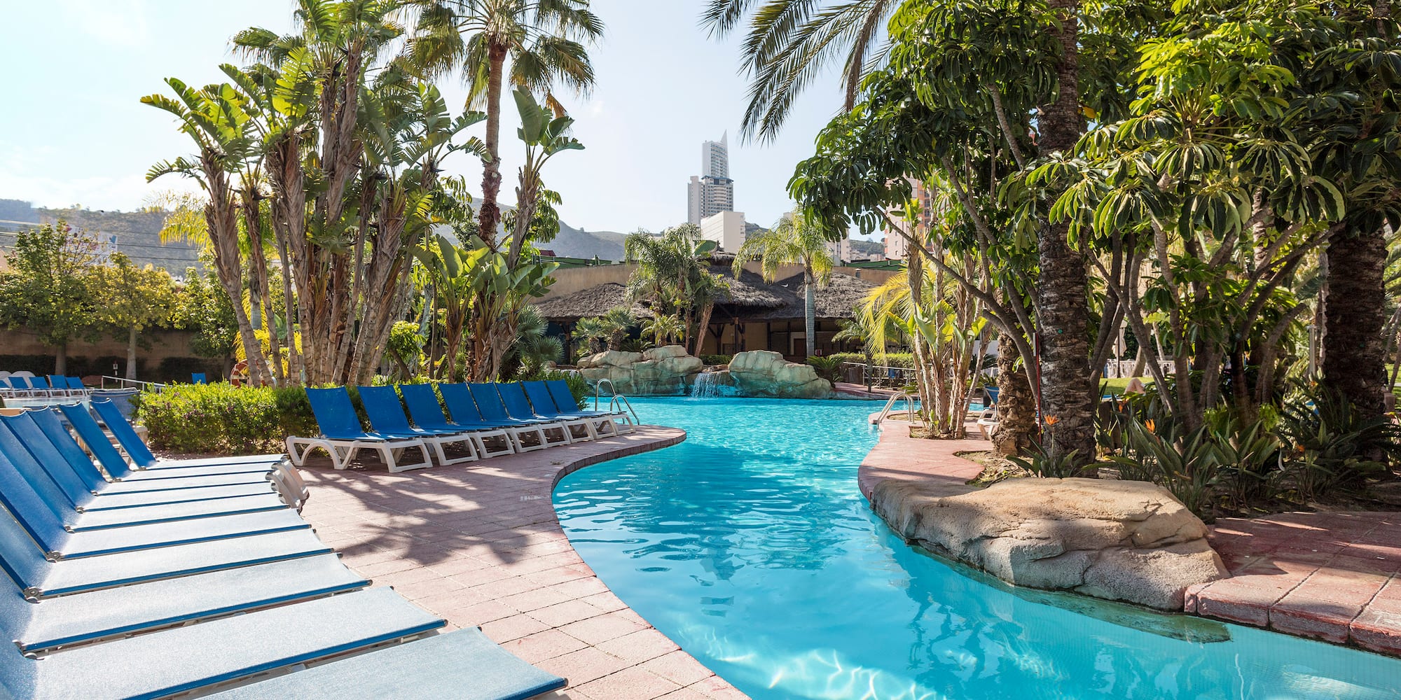 a pool with lounge chairs and palm trees