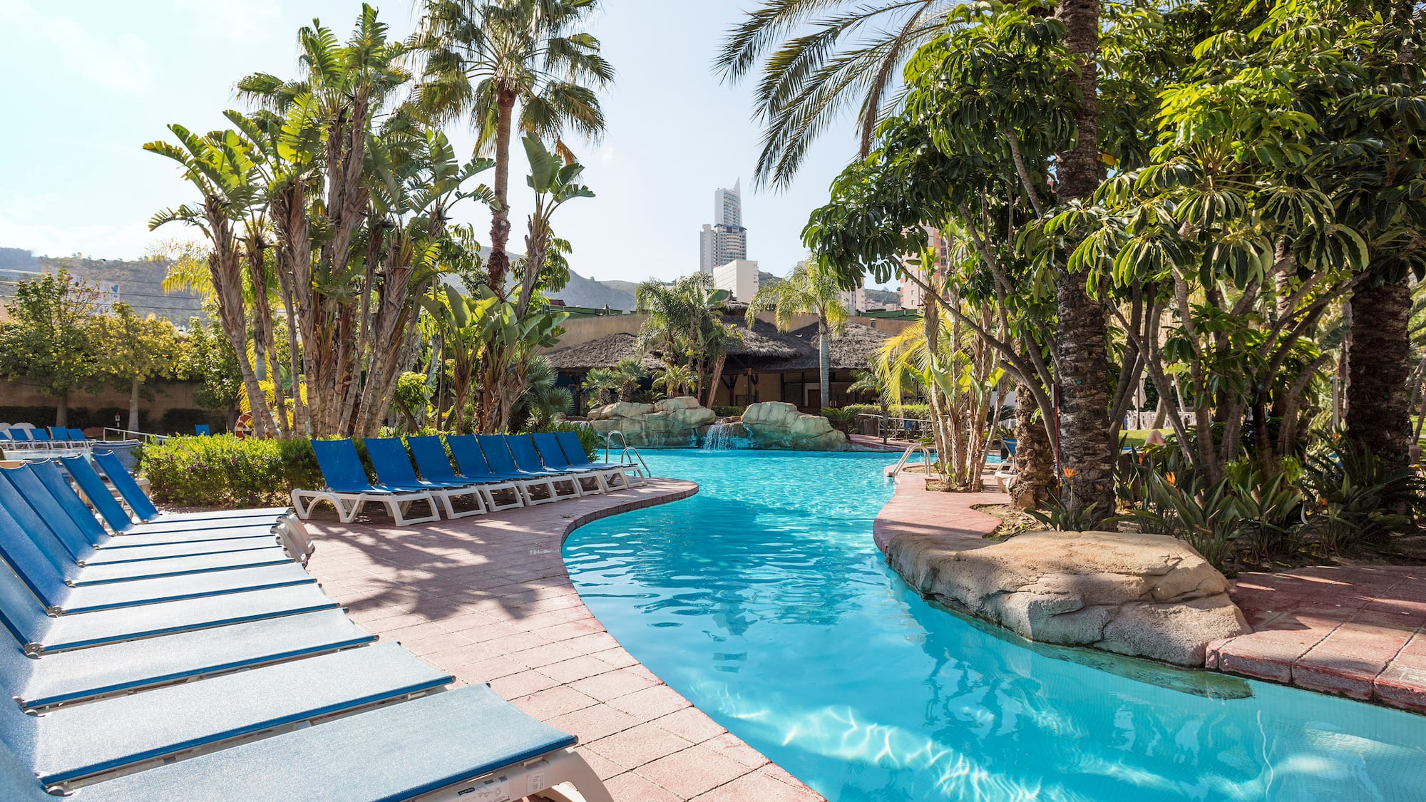a pool with lounge chairs and palm trees