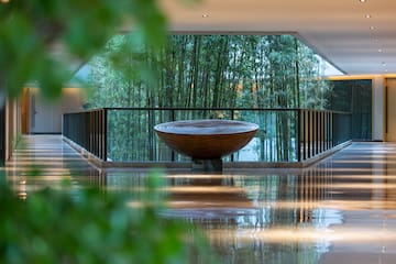 a bowl on a glass railing