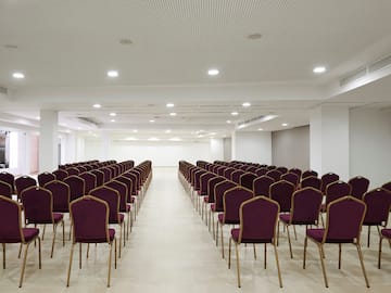 rows of purple chairs in a room