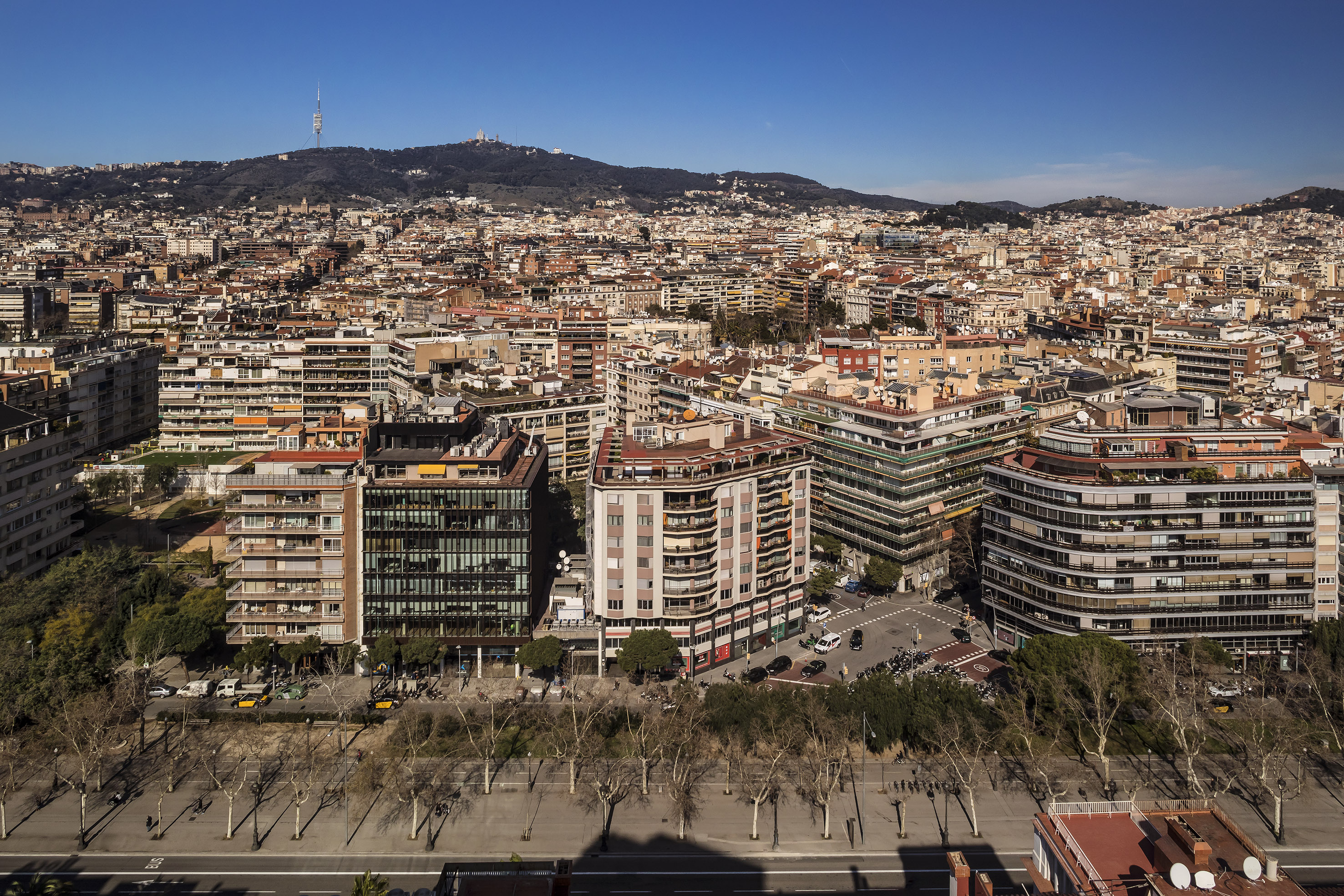 a city with many buildings and trees