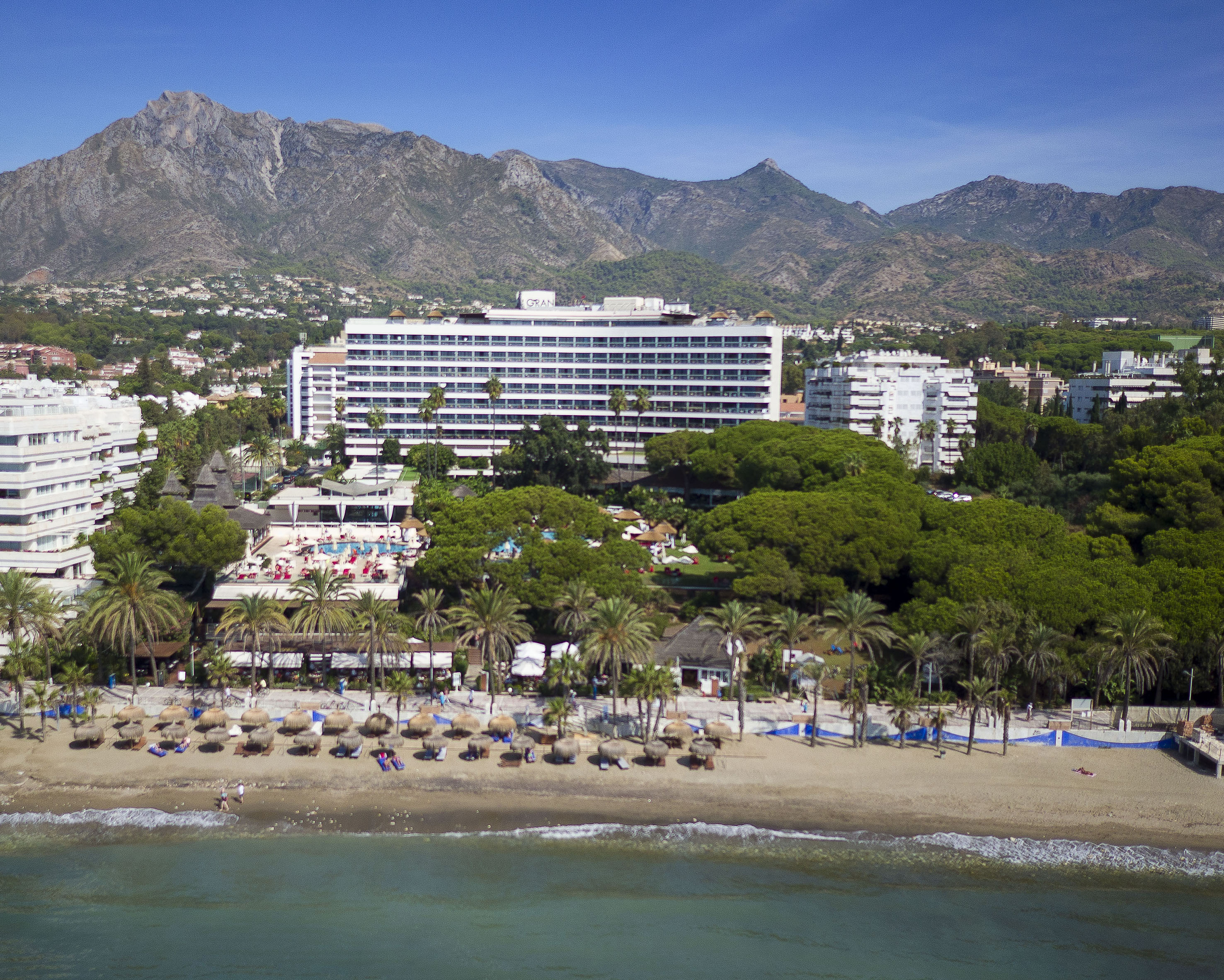 a beach with a hotel and trees