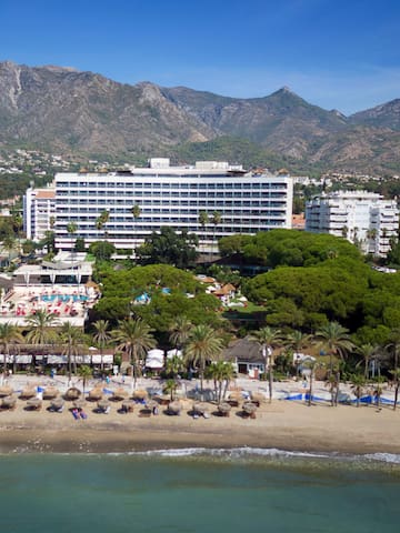 a beach with a hotel and trees