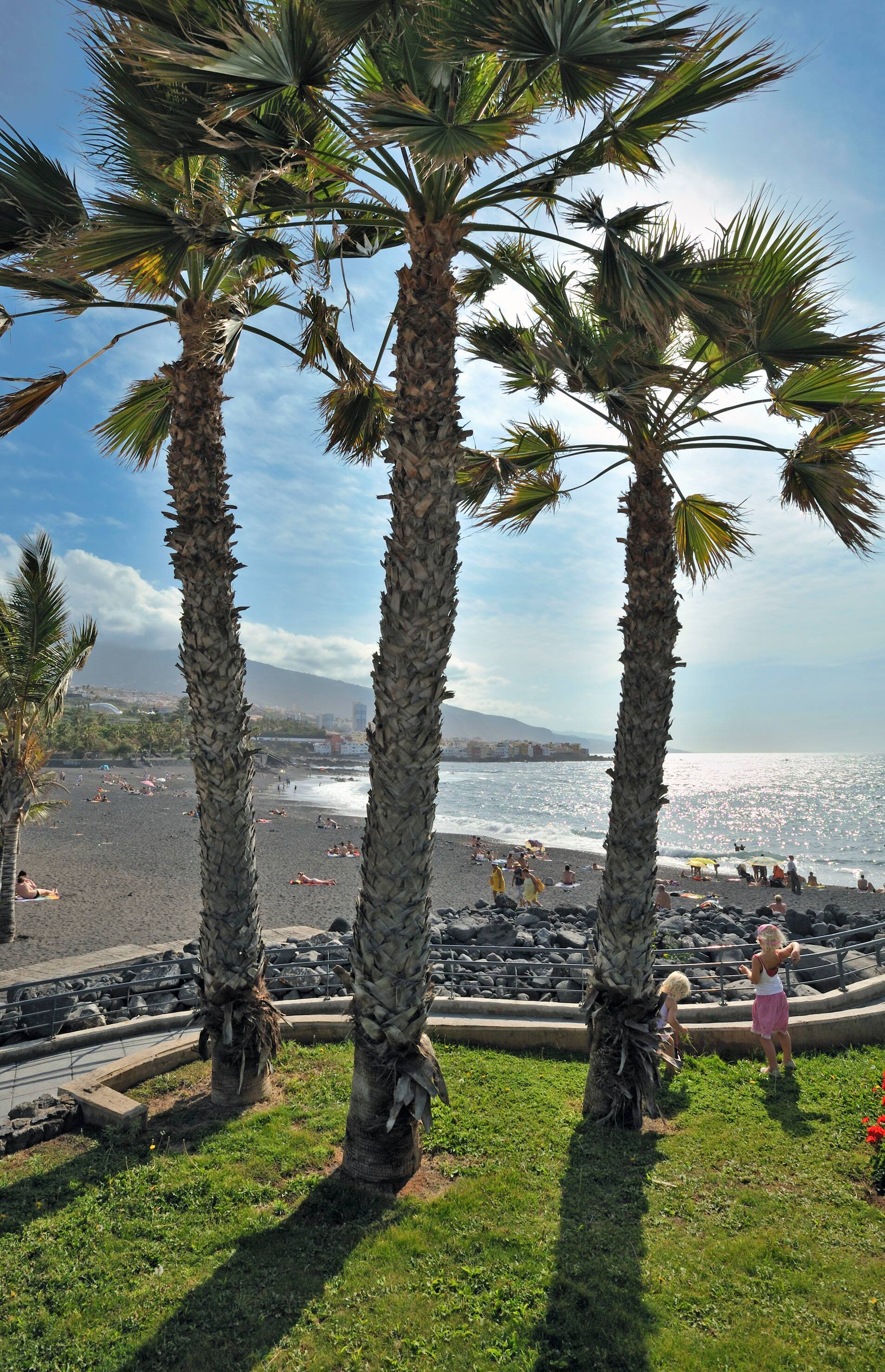 Hotel Sol Puerto de la Cruz Tenerife in the centre Melia