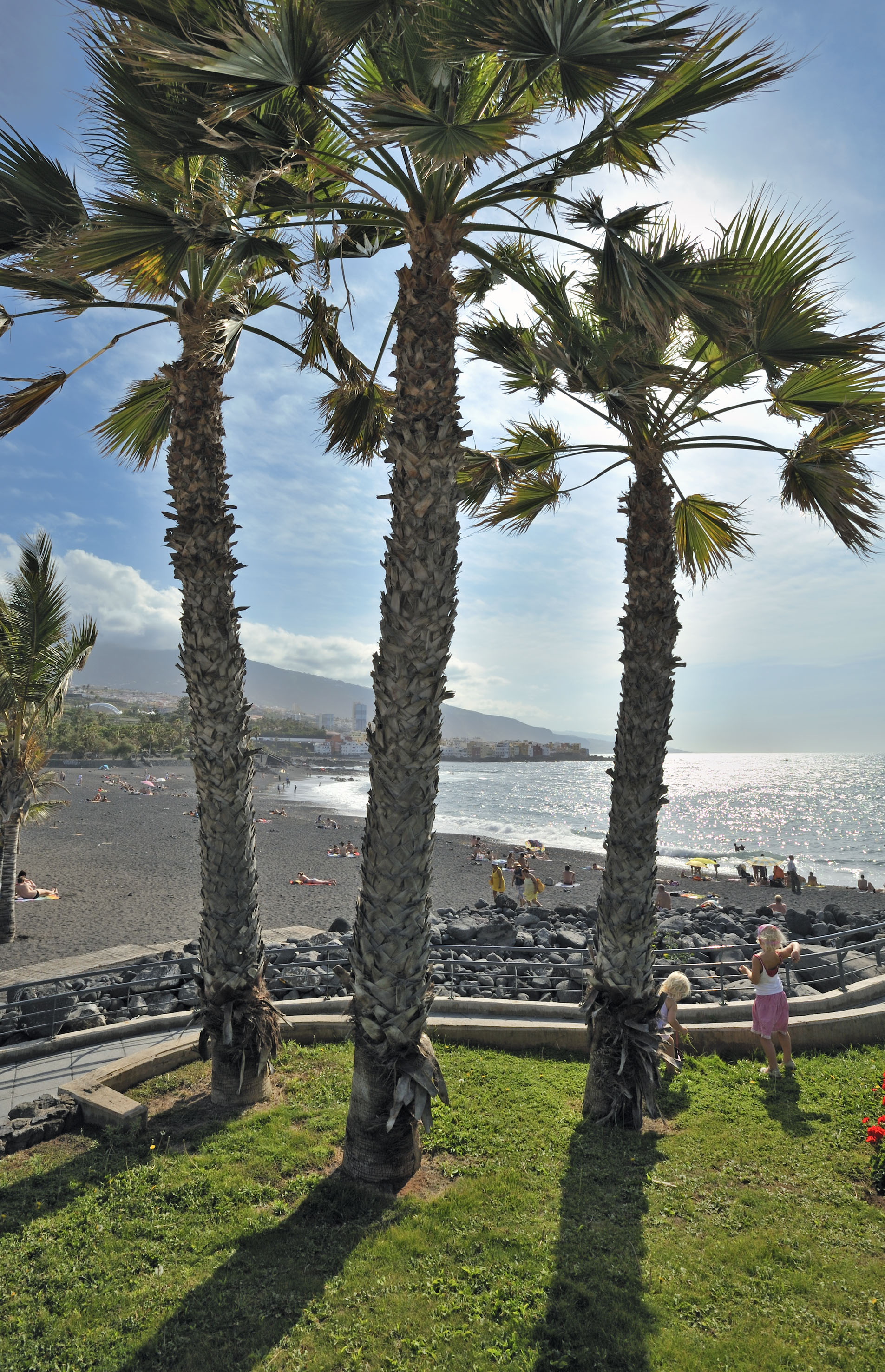 Sunny black sand beach, palm trees, sparkling ocean, distant town.