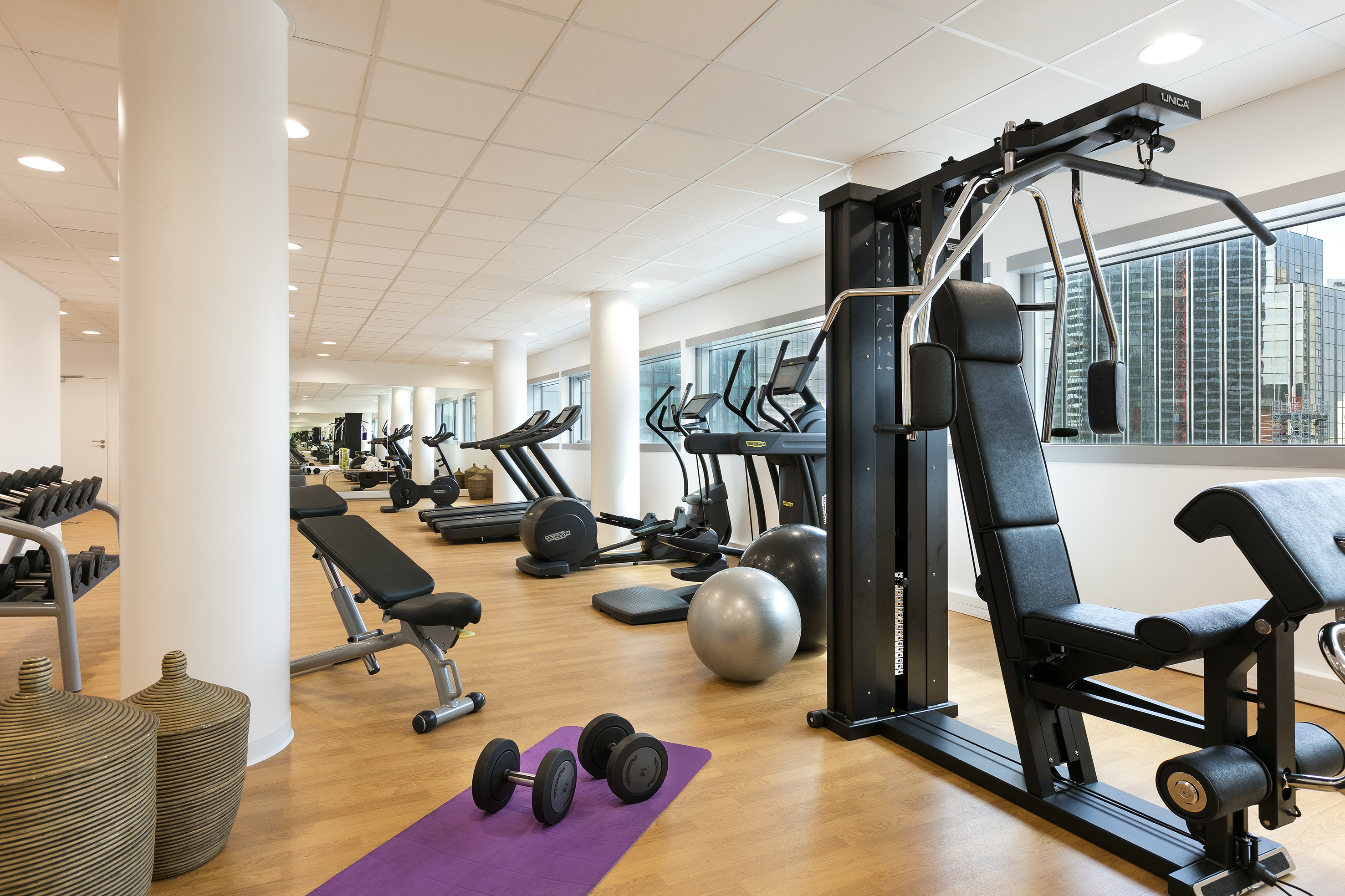 Modern gym with treadmills, weight machines, dumbbells, and city views.
