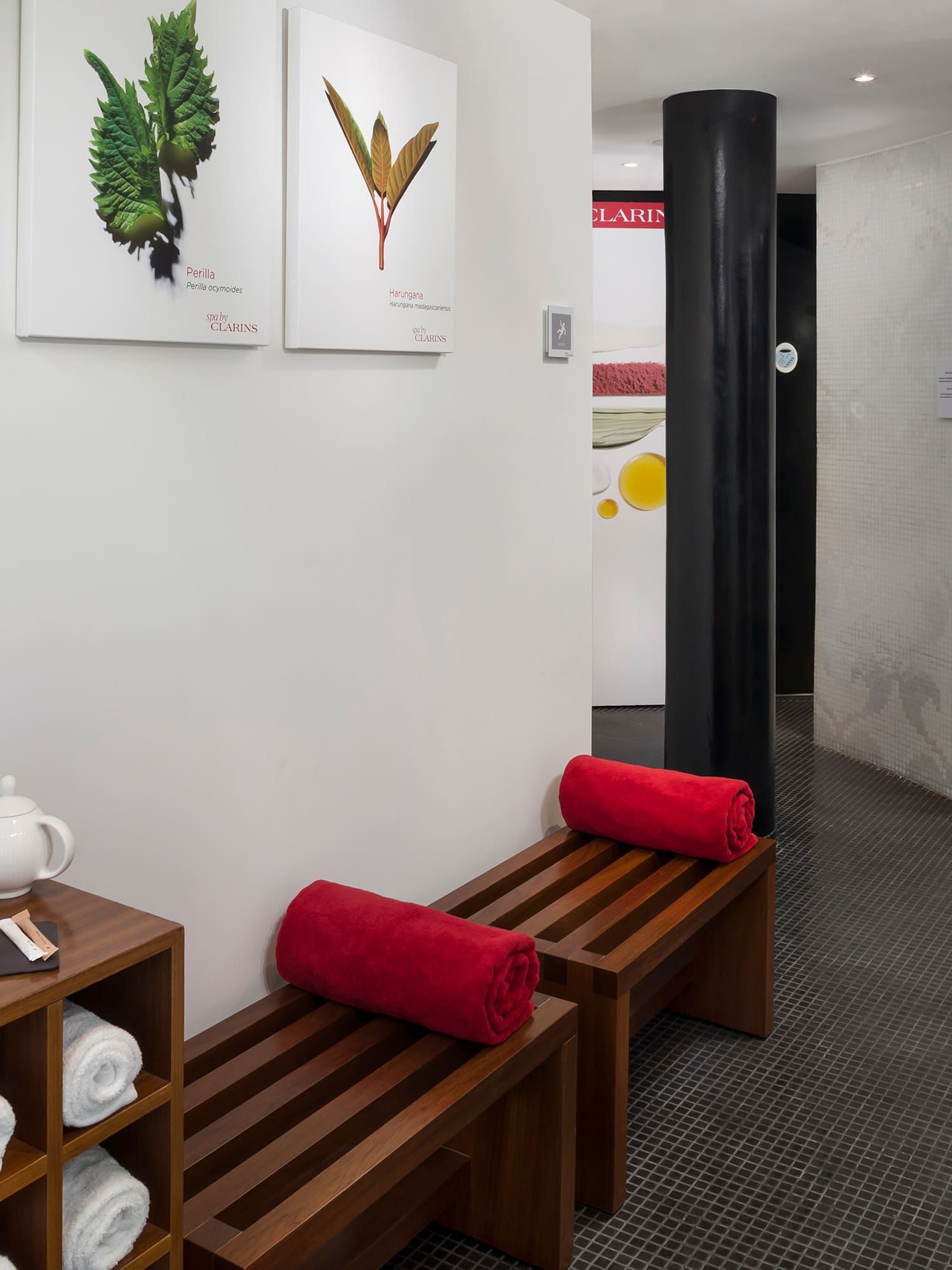 a room with a shower and a bench