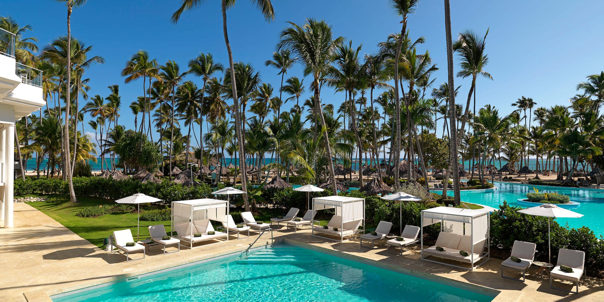 a pool with chairs and umbrellas surrounded by palm trees