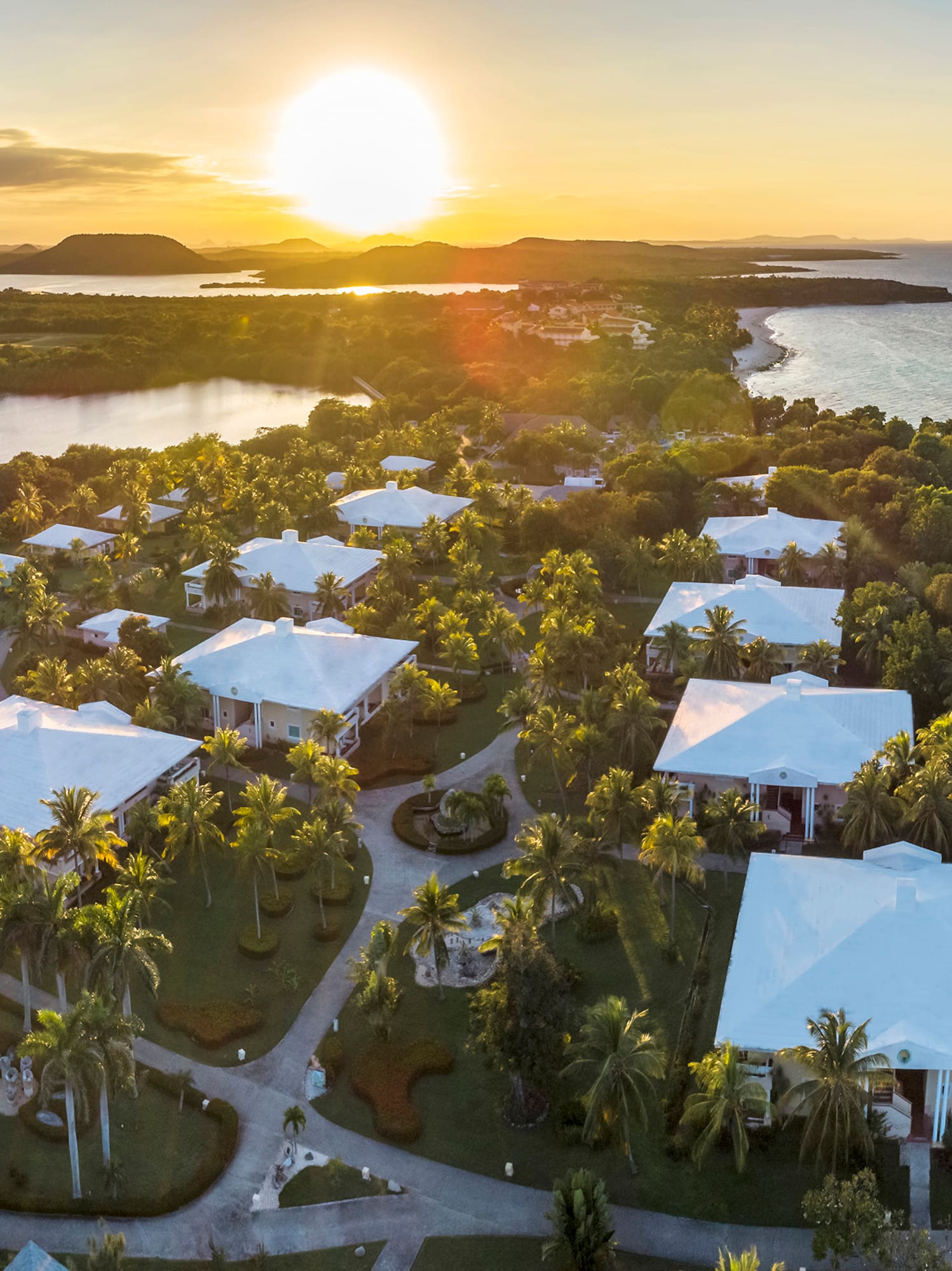 a group of houses surrounded by trees and water