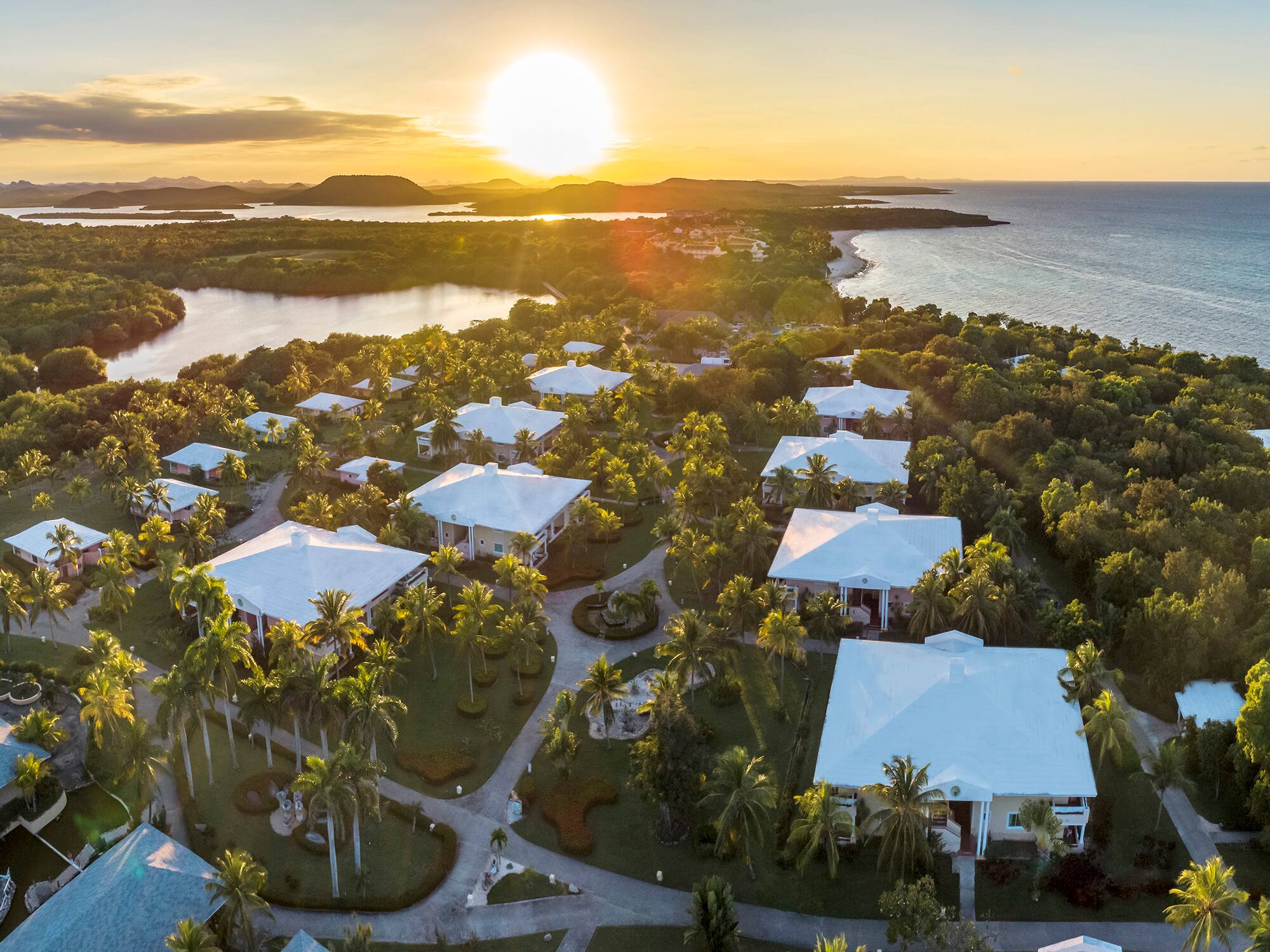 a group of houses surrounded by trees and water