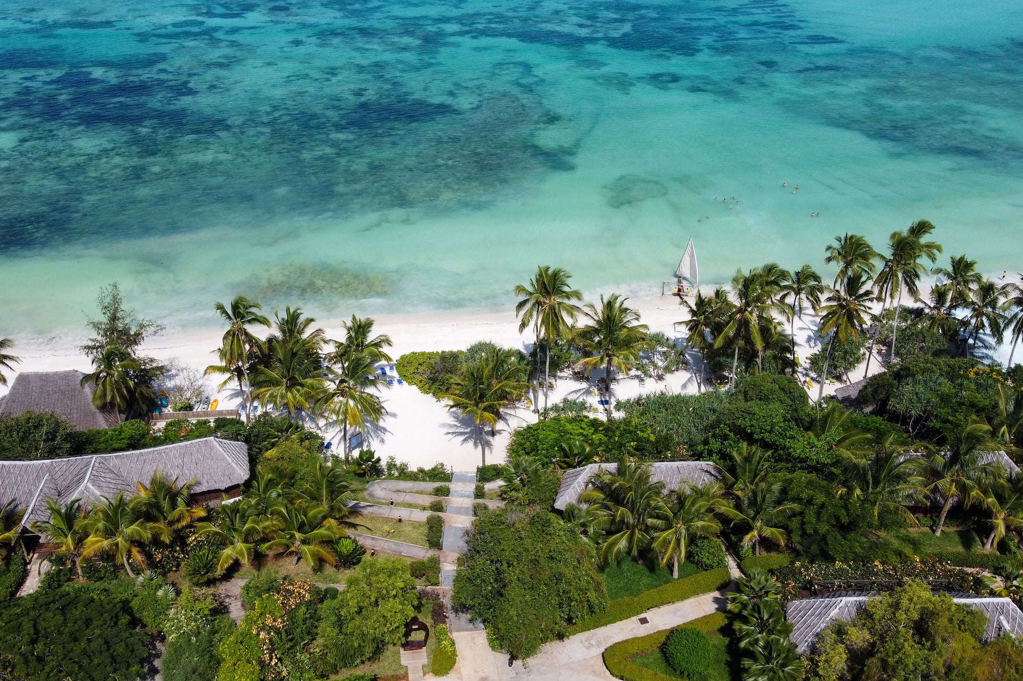 a beach with palm trees and a body of water