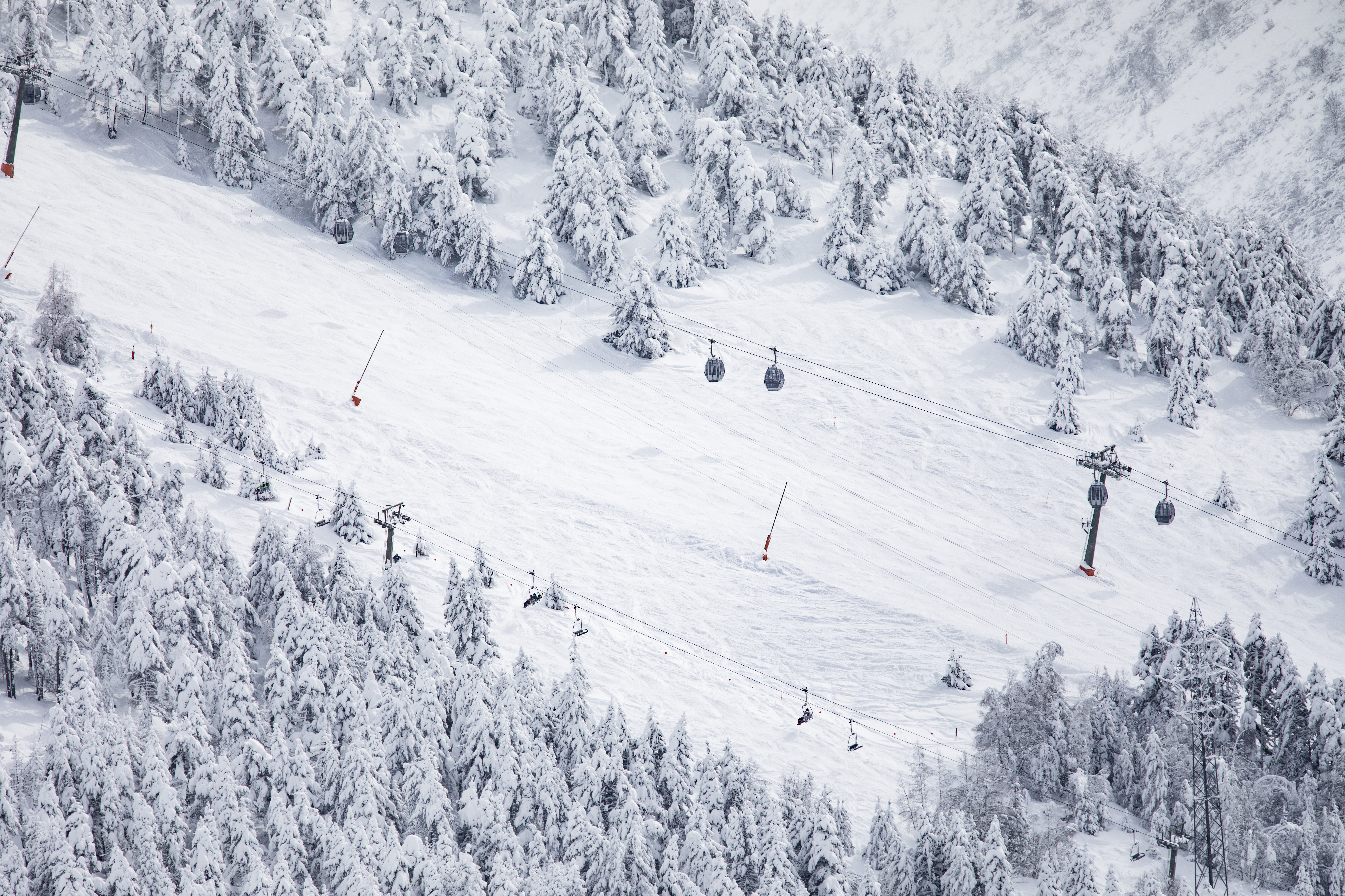 Snowy mountain ski slope with pine trees, gondolas, and chairlifts.