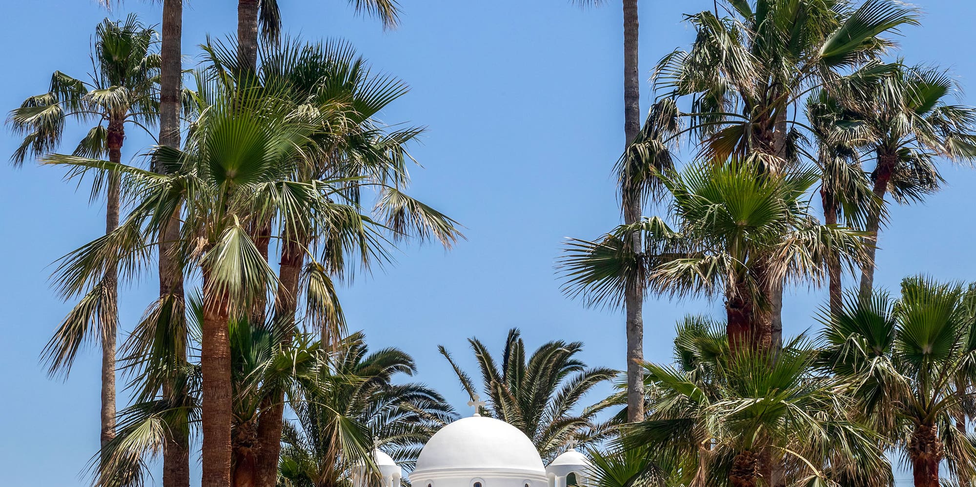 a white building with a dome and palm trees