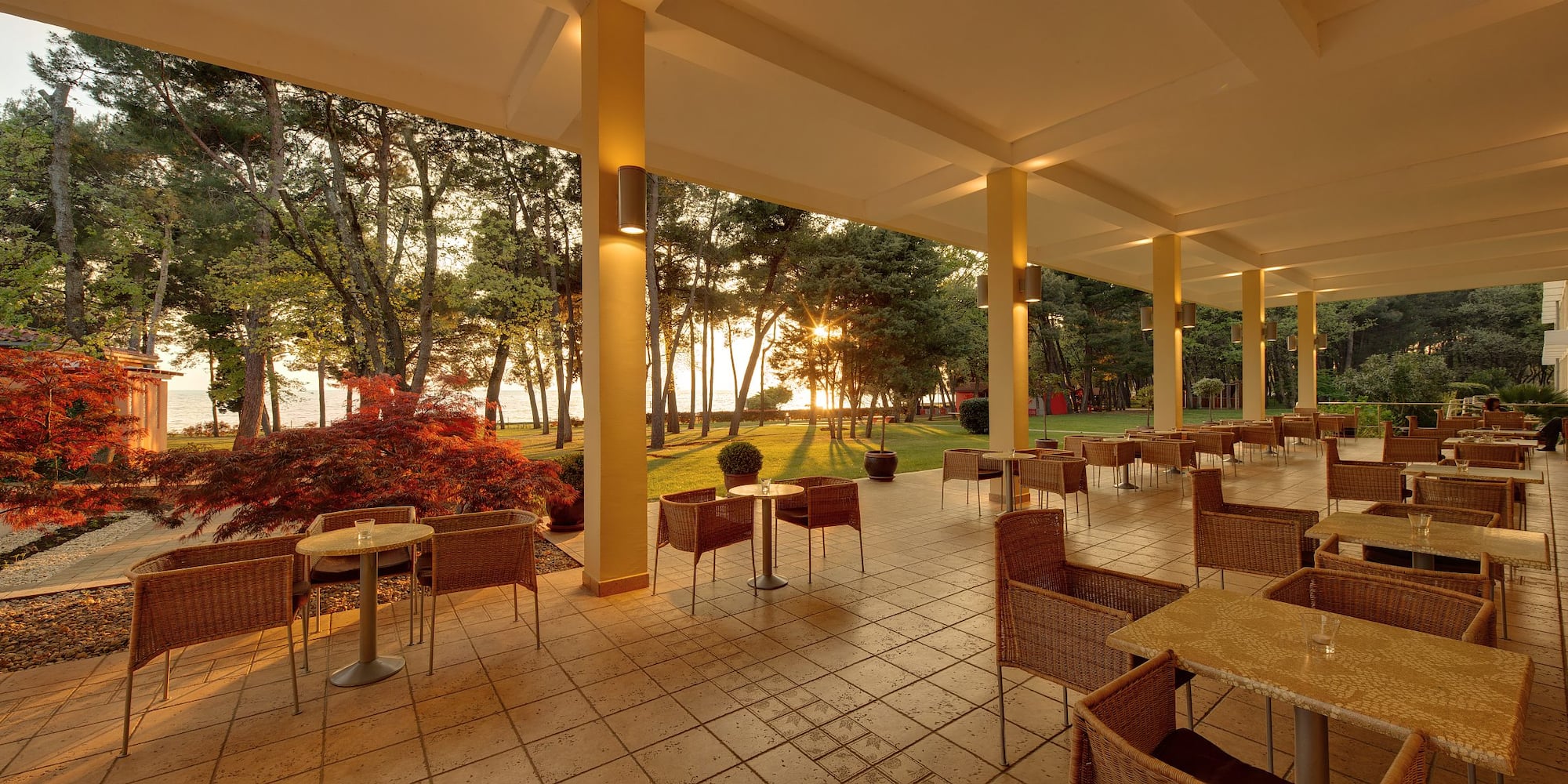 a patio with chairs and tables and trees