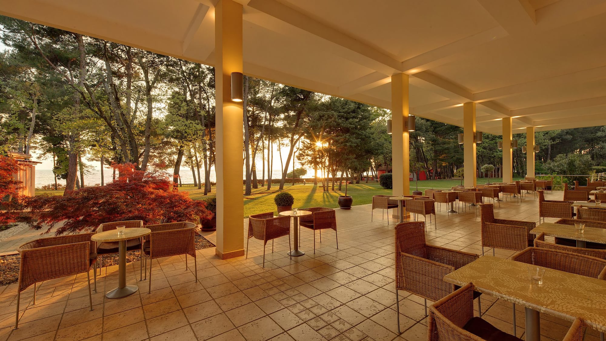 a patio with chairs and tables and trees