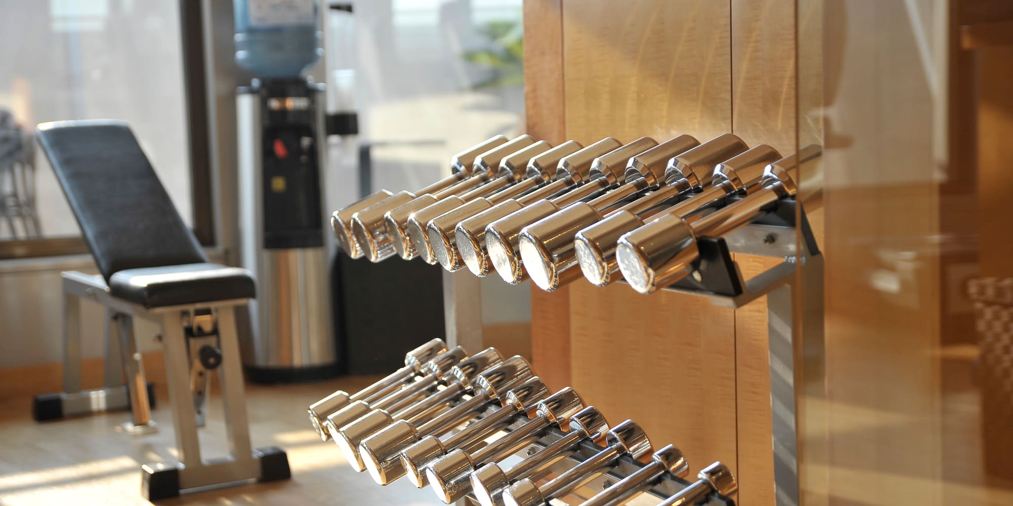 a rack of dumbbells in a gym