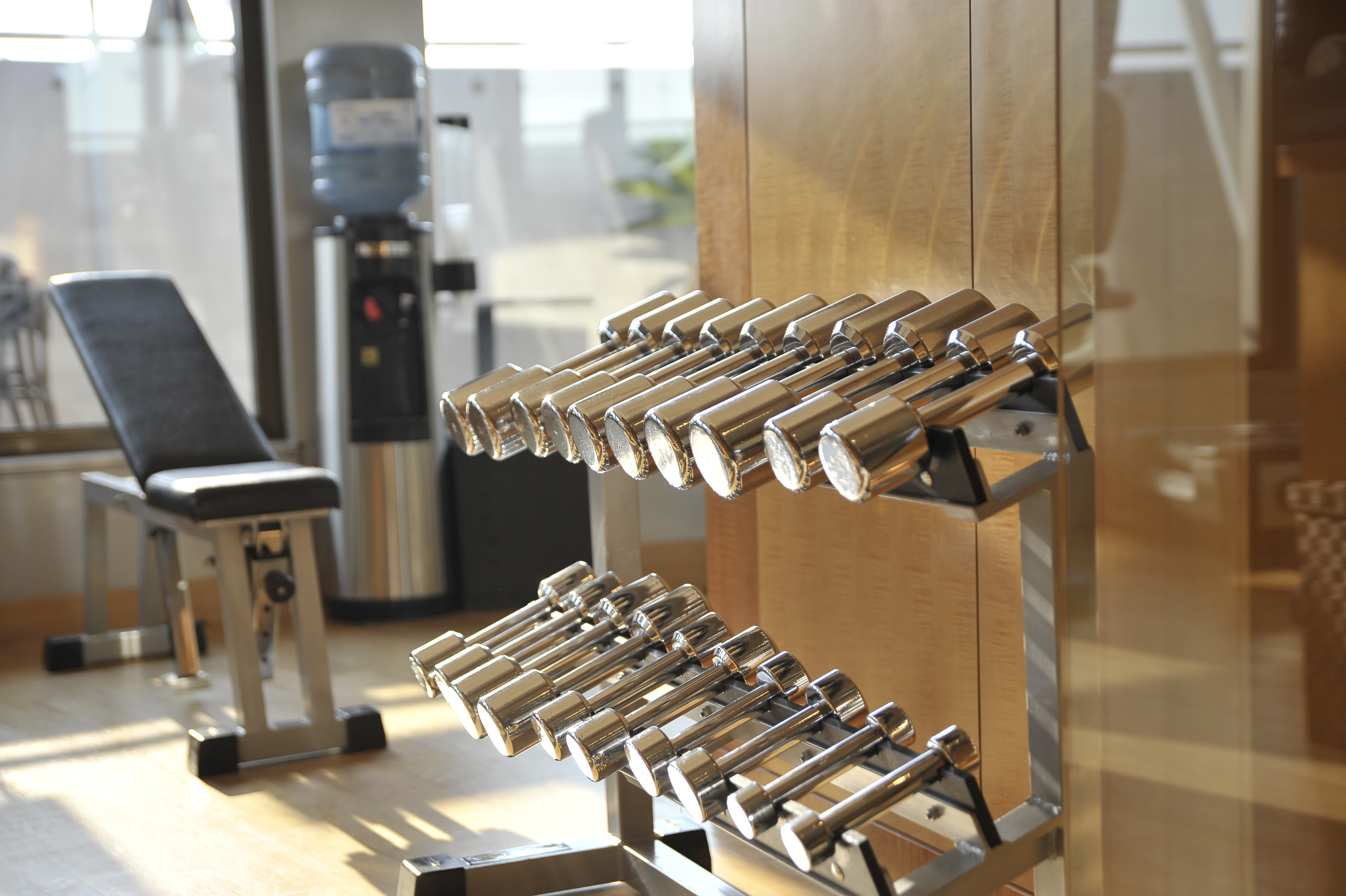 a rack of dumbbells in a gym