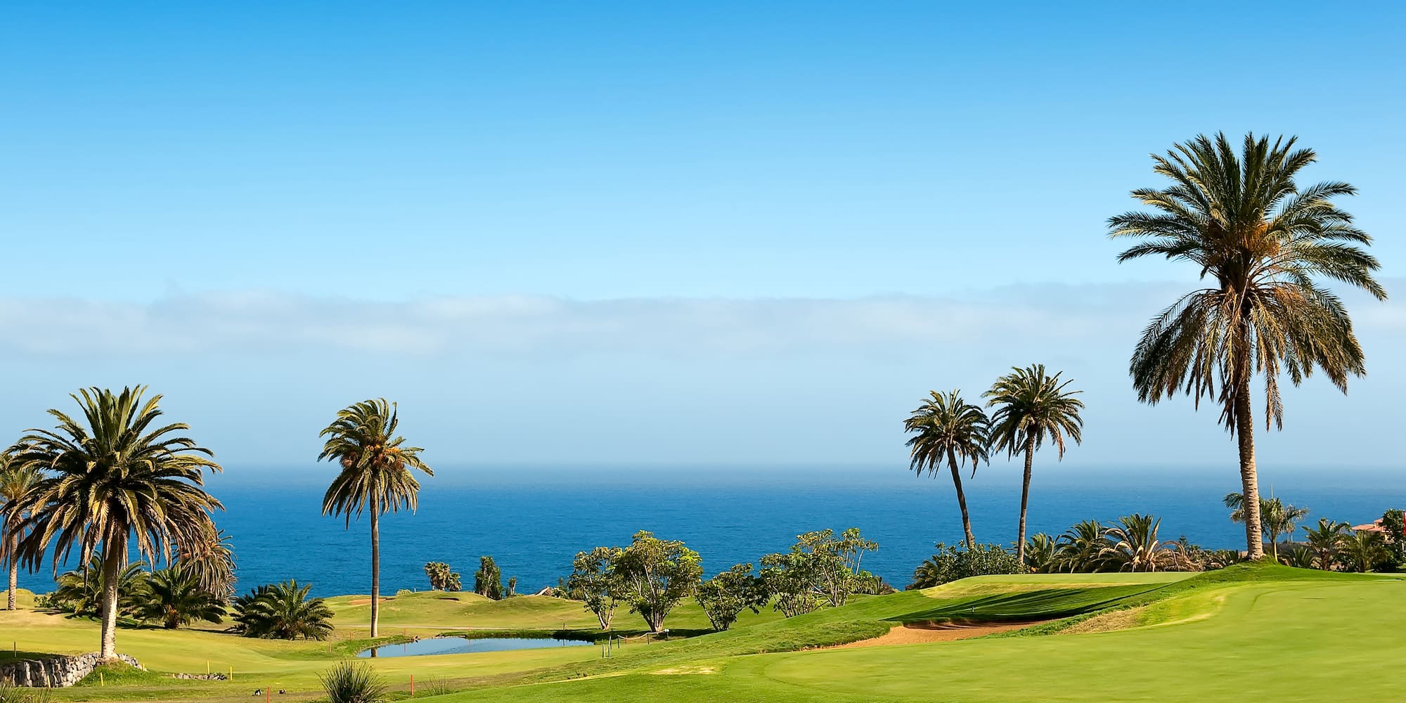 a golf course with palm trees and water in the background