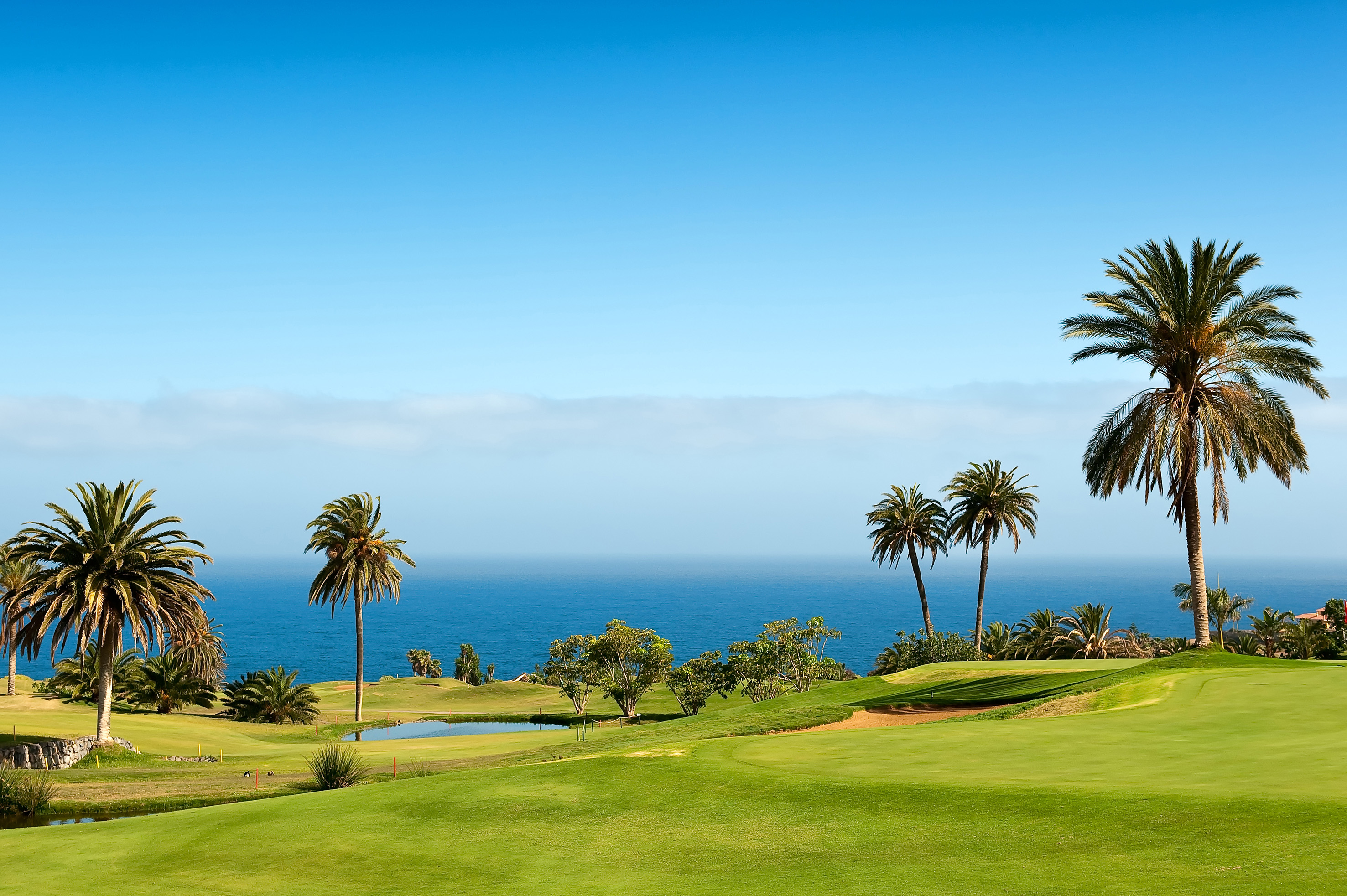 Lush tropical golf course with palm trees, blue ocean, and sand bunkers.