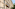 Haussmannian Parisian building with ornate balconies, Melia hotel, and street shops.