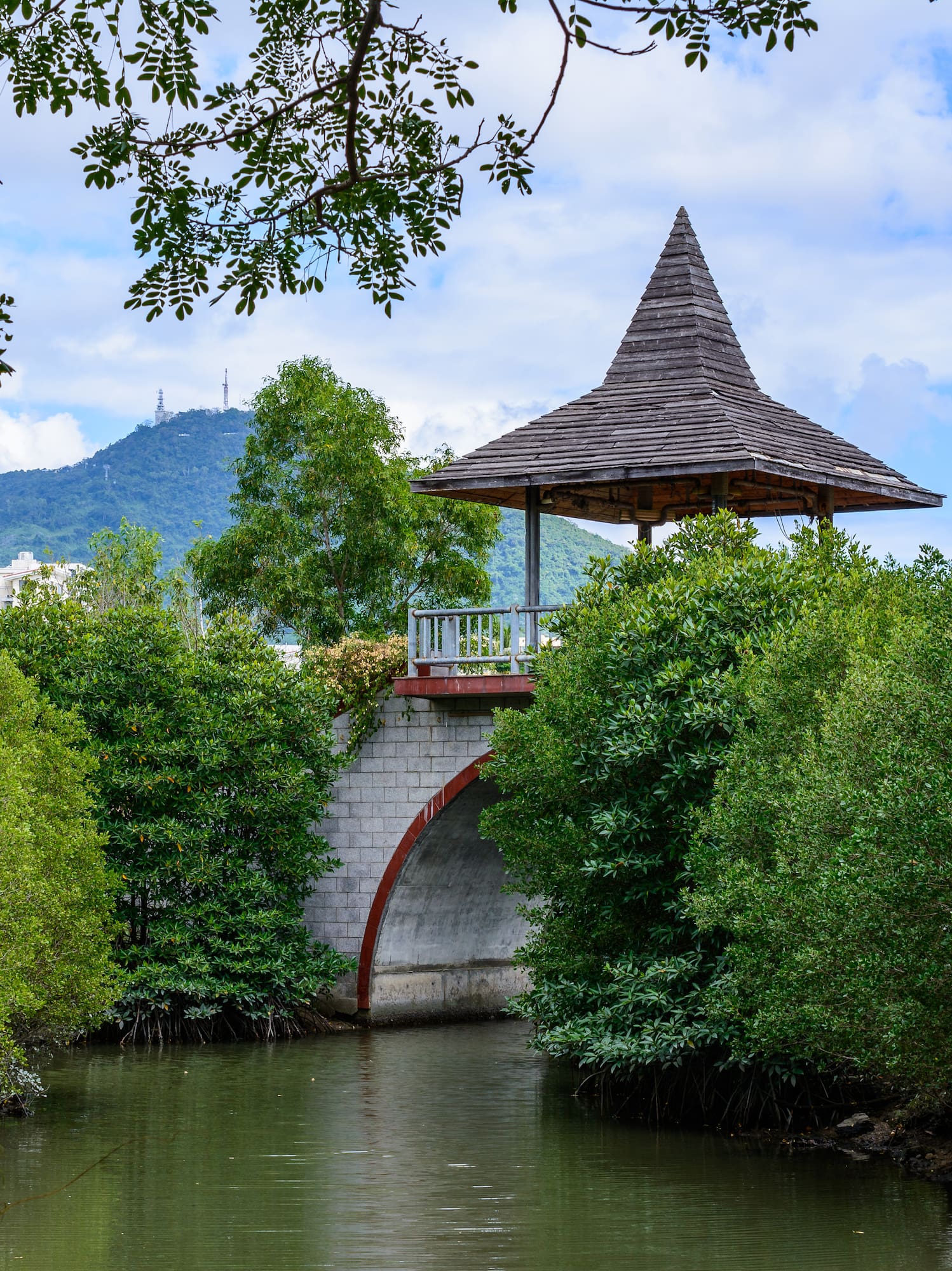 a bridge over a river with trees around it