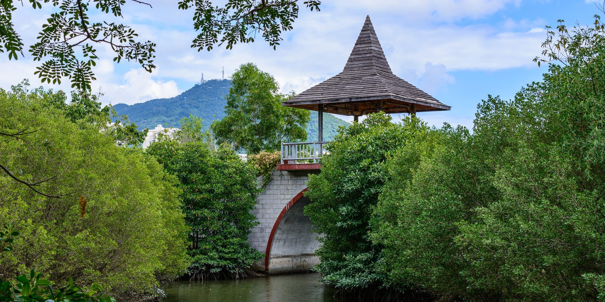 a bridge over a river with trees around it