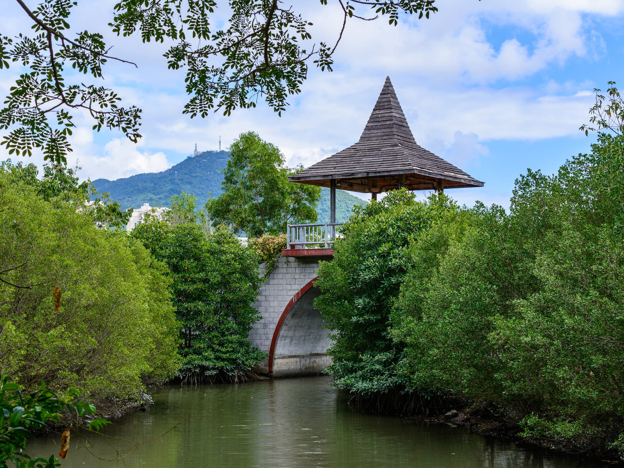 Pagoda-topped arched bridge over canal through lush mangroves, distant mountain.