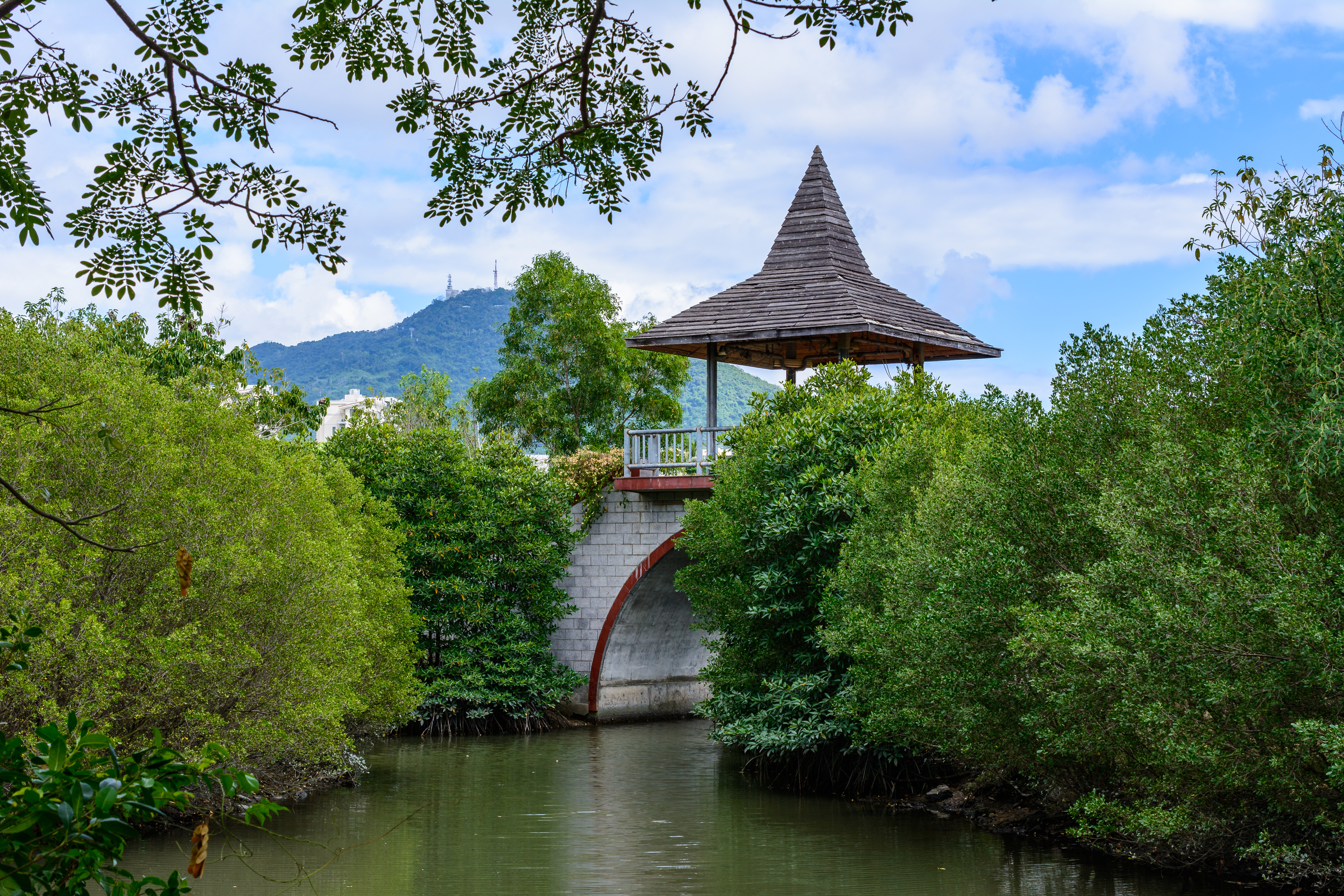 Pagoda-topped arched bridge over canal through lush mangroves, distant mountain.