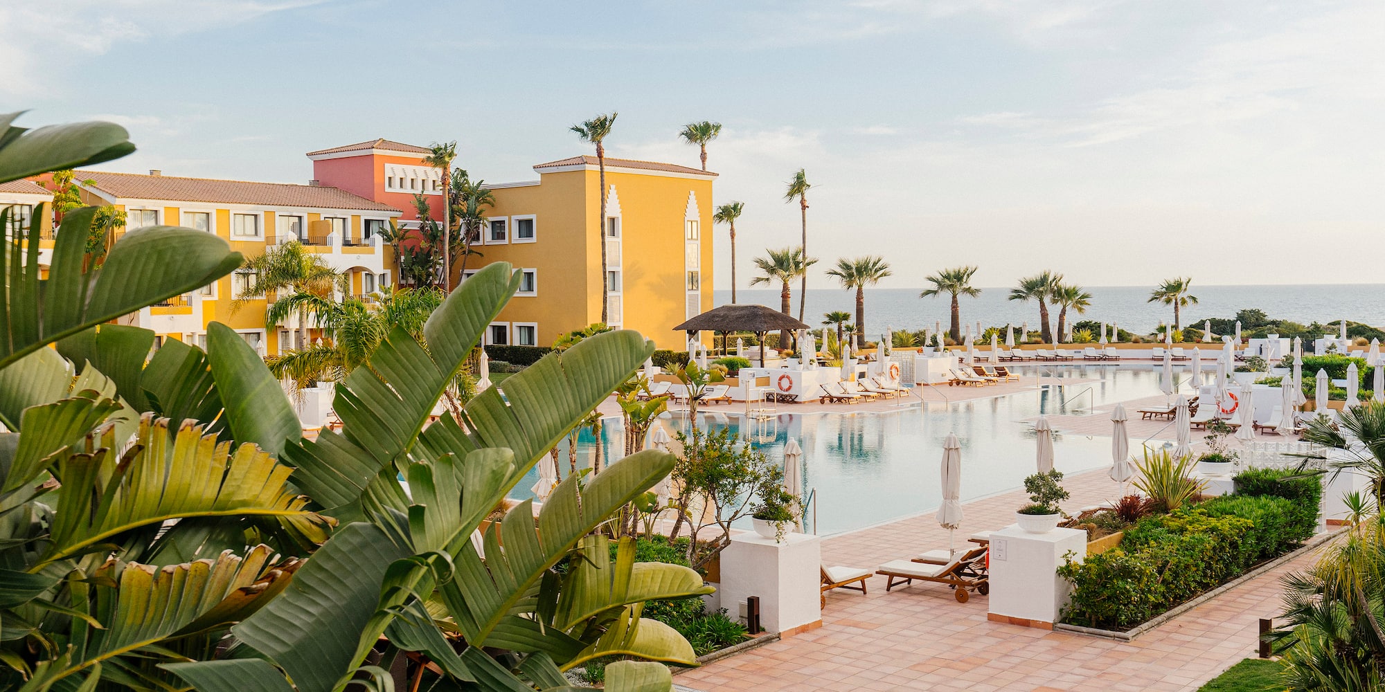 a pool with palm trees and buildings