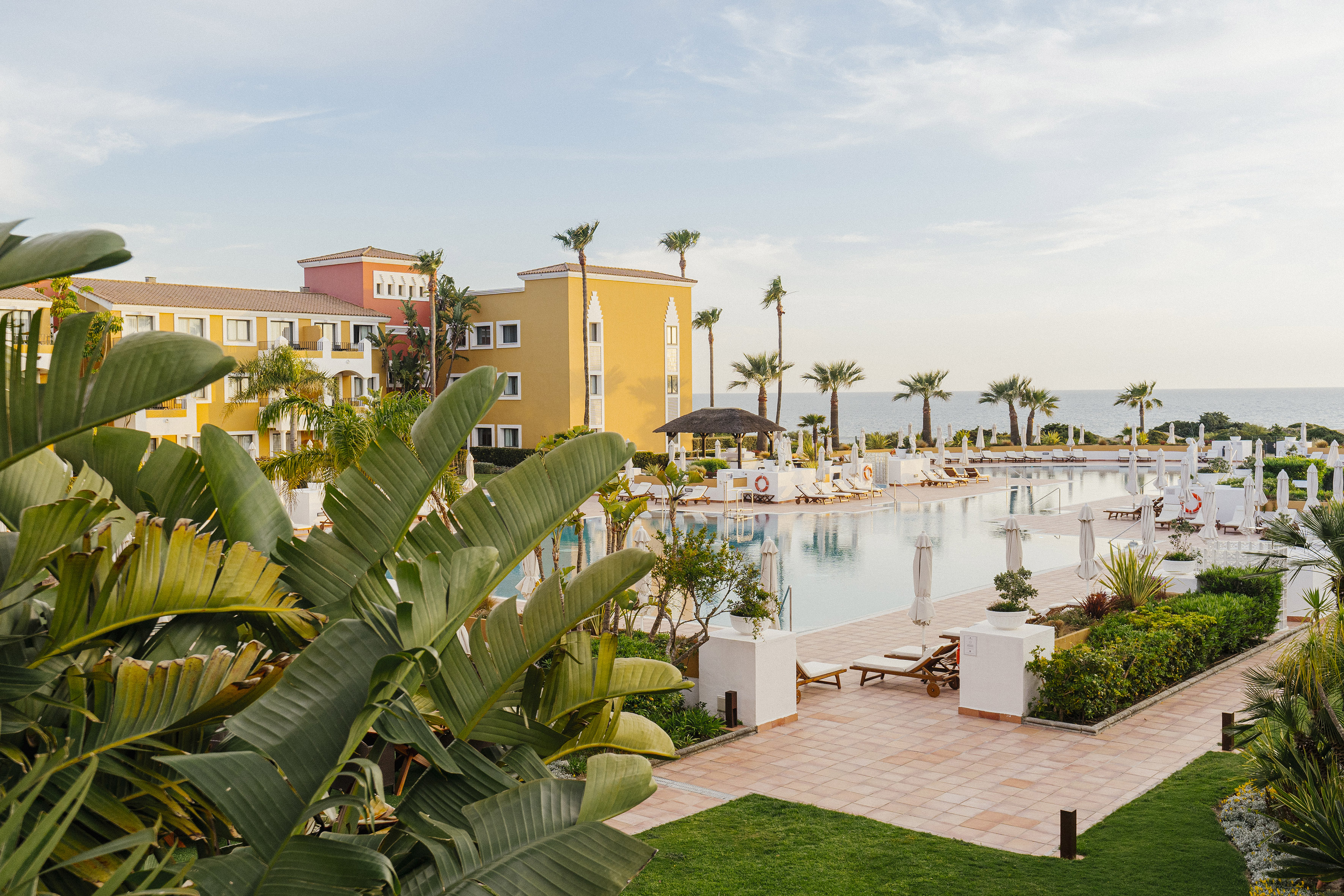 a pool with palm trees and buildings
