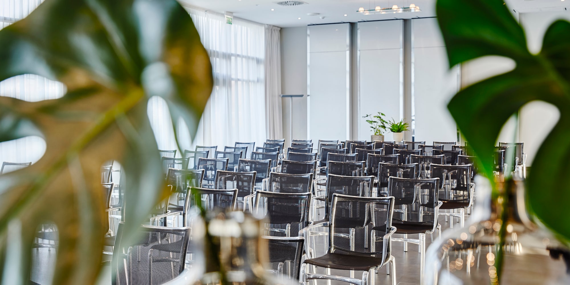 a room with many chairs and a plant
