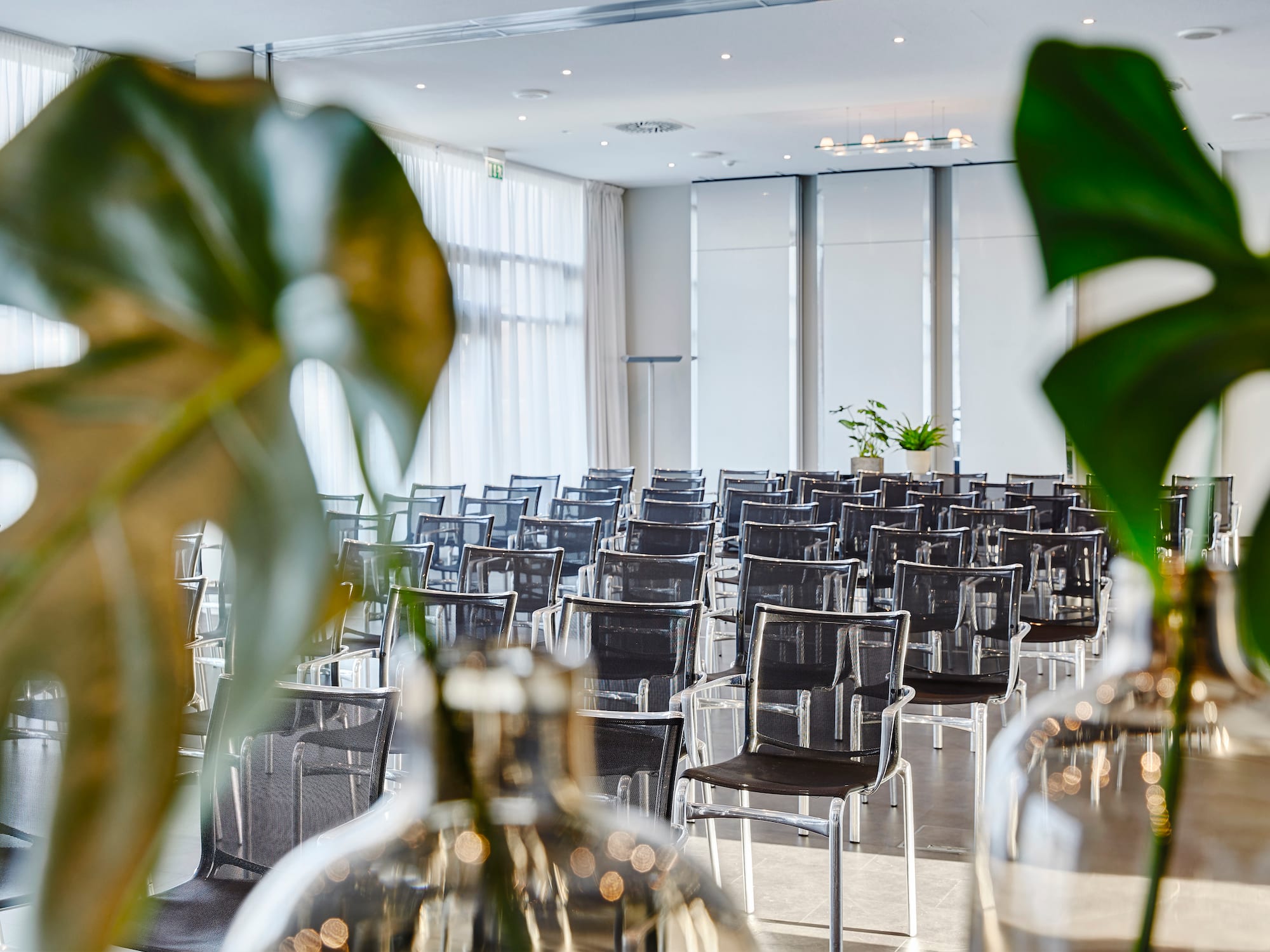 a room with many chairs and a plant