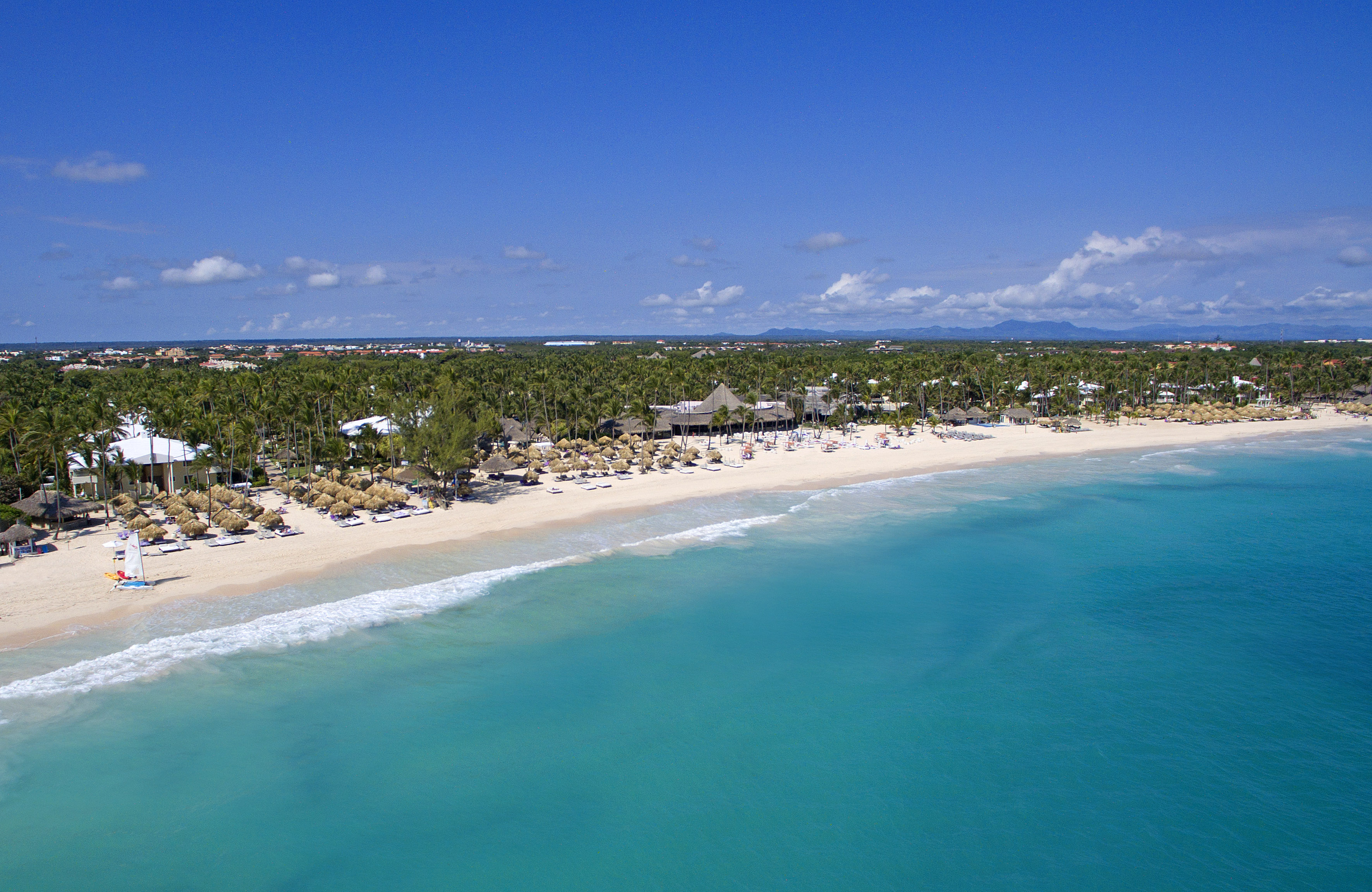 a beach with palm trees and blue water