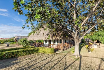 a house with a thatched roof and a tree