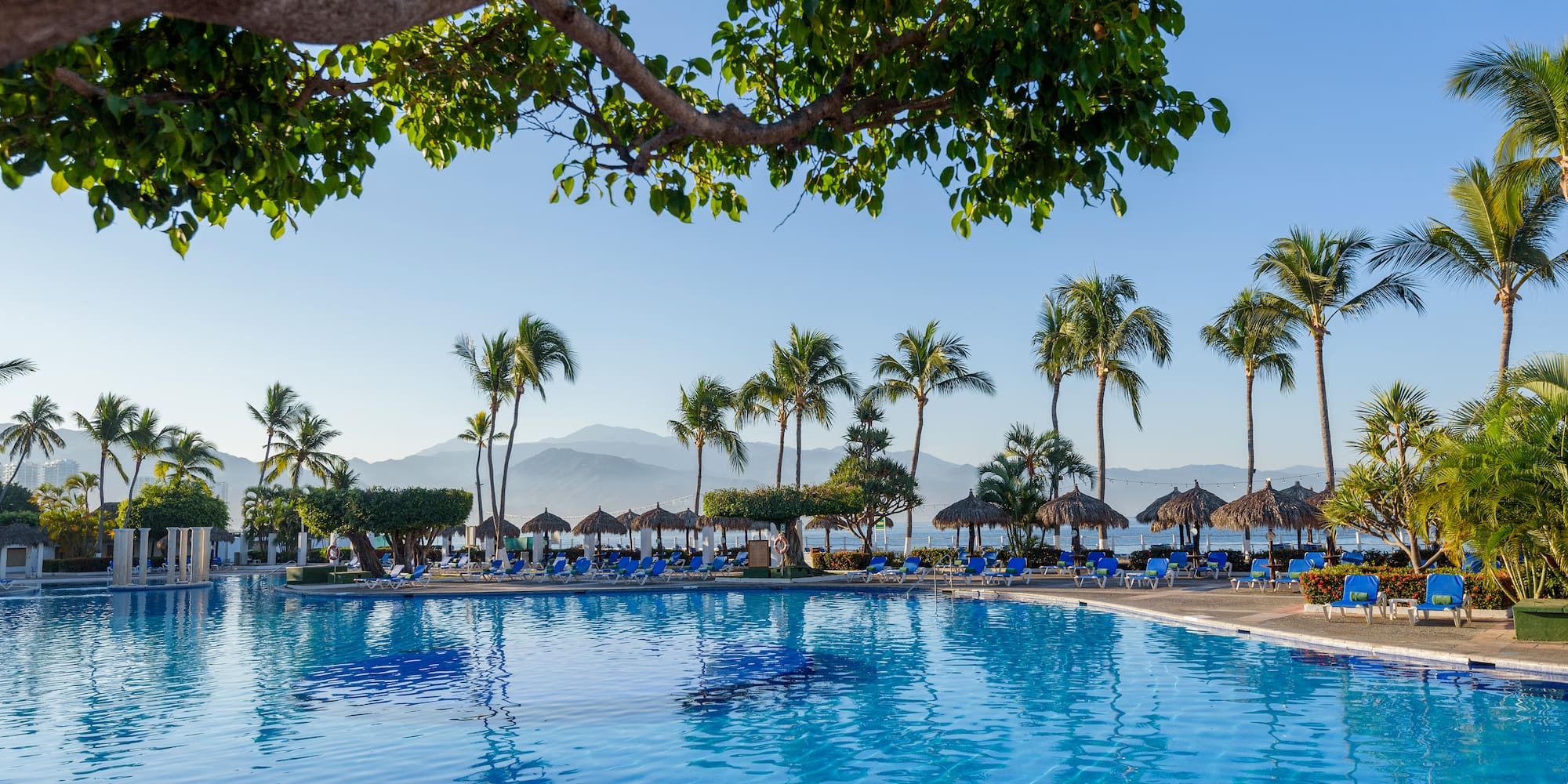 a pool with palm trees and a beach in the background