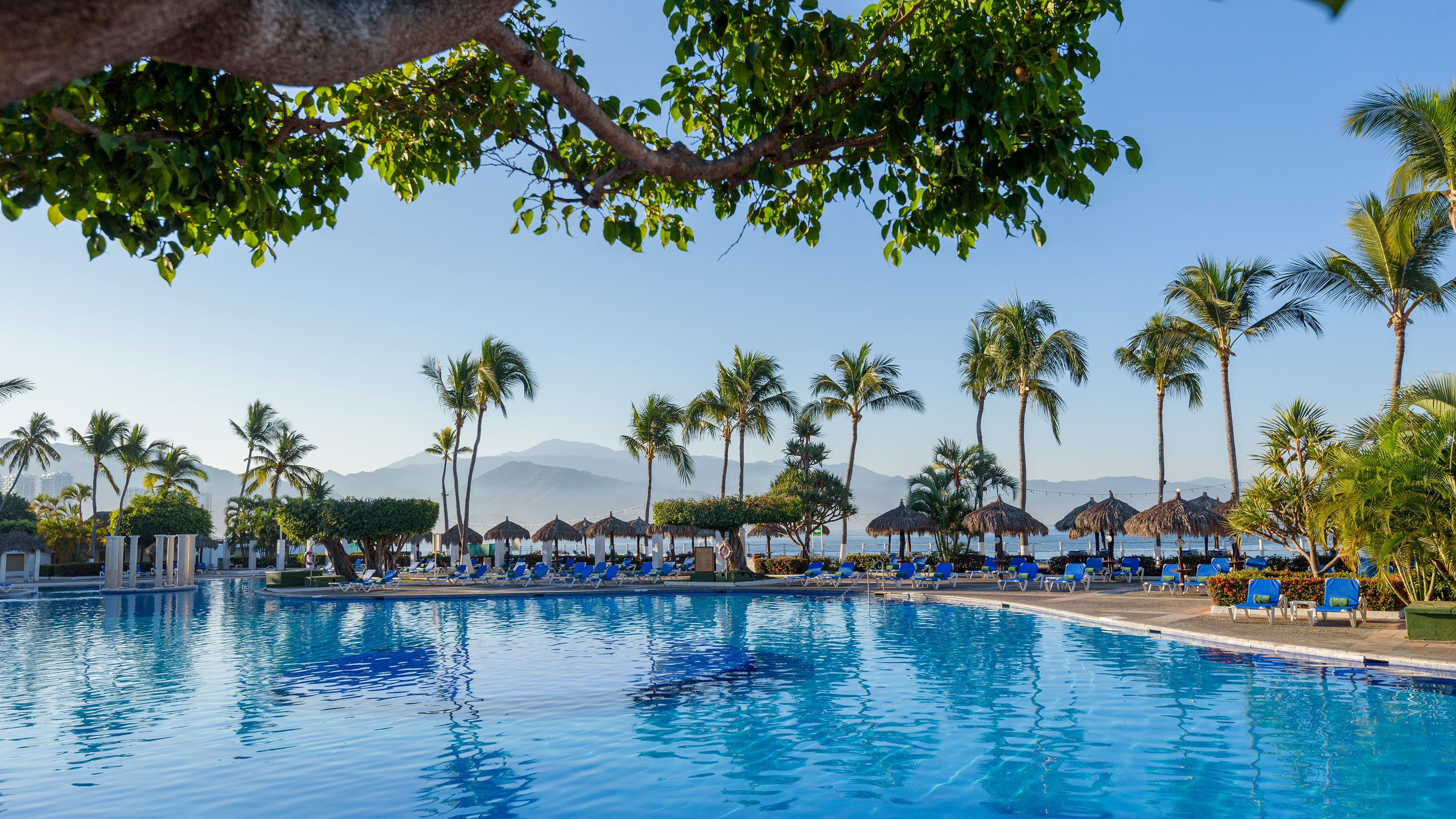 Sunny tropical resort pool with palm trees, lounge chairs, and mountains.