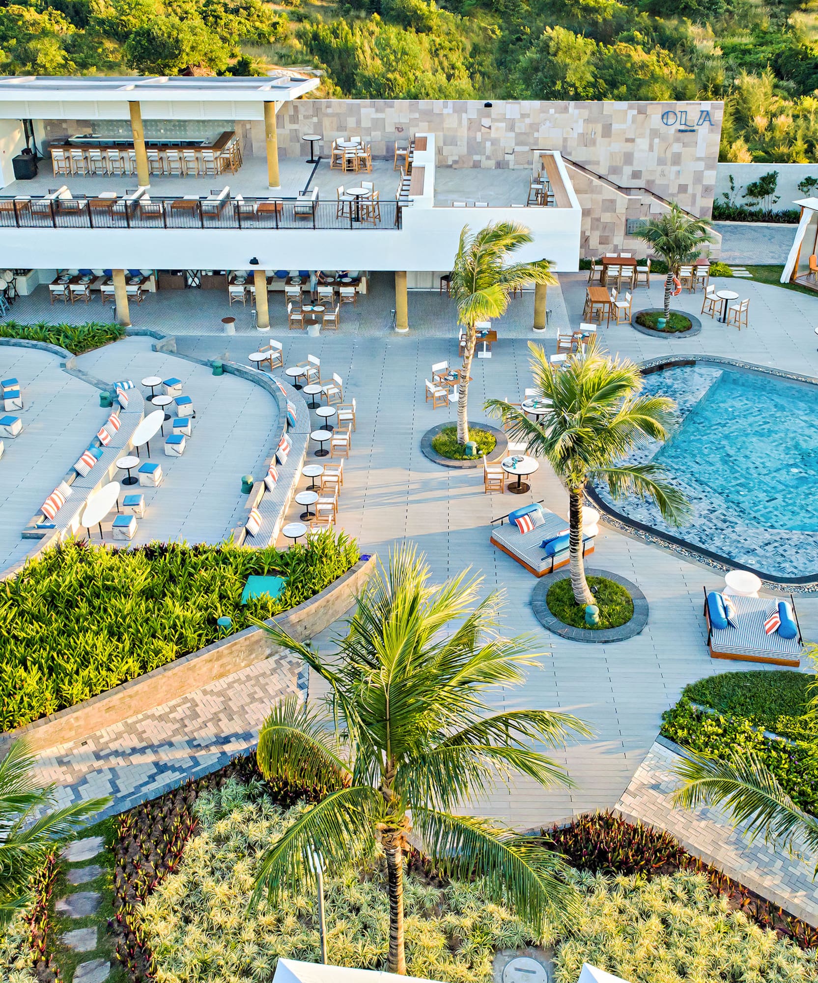 a pool and palm trees with chairs and tables